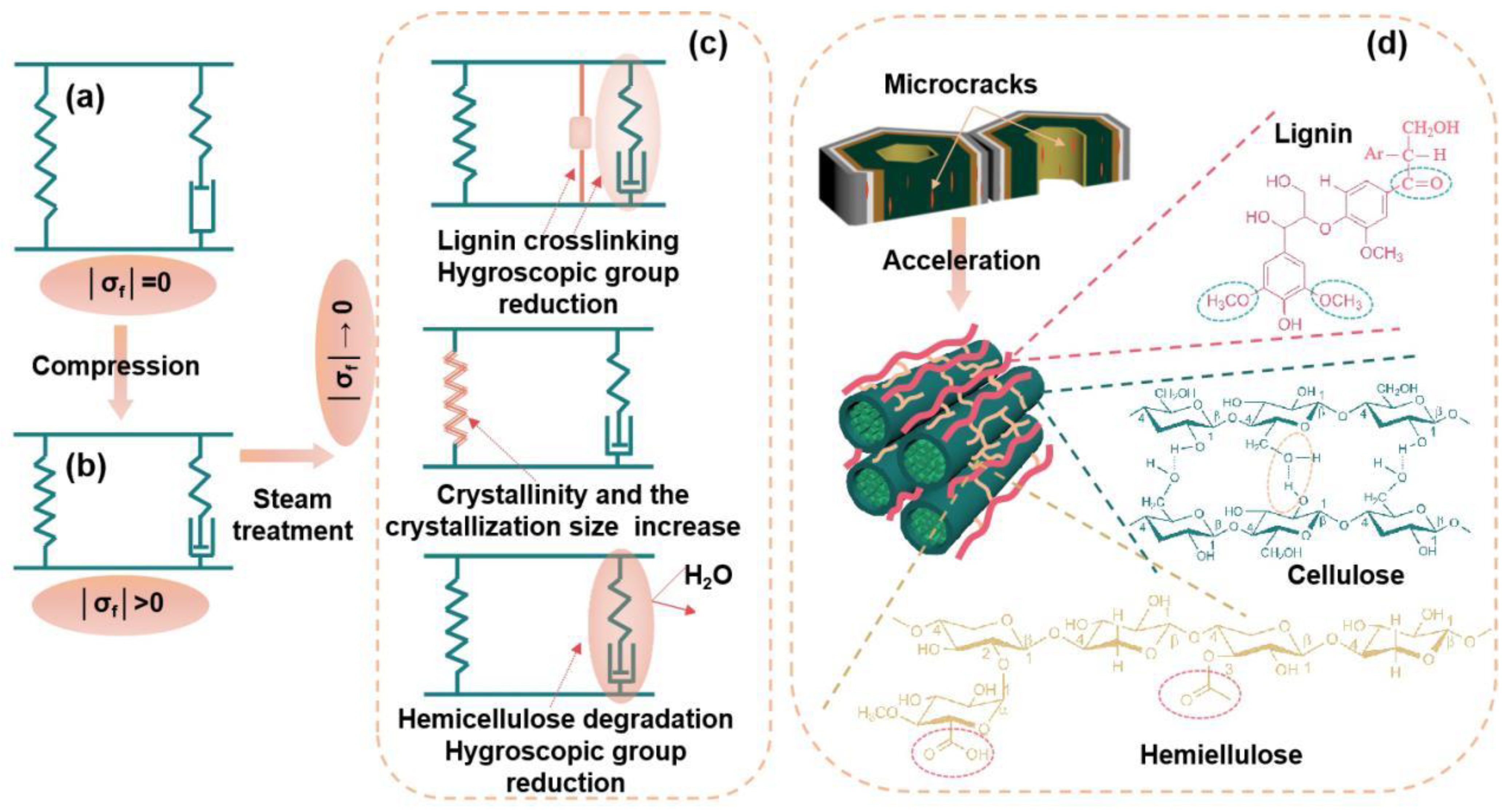 Forests 13 01230 g008