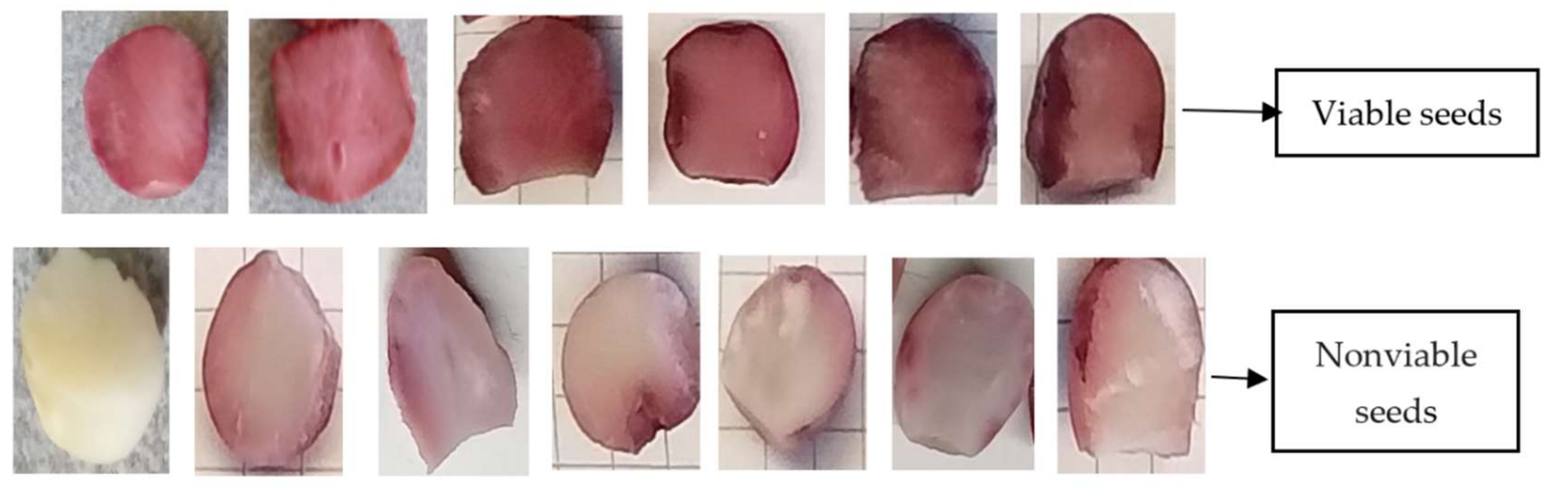 Forests 13 01232 g003 550