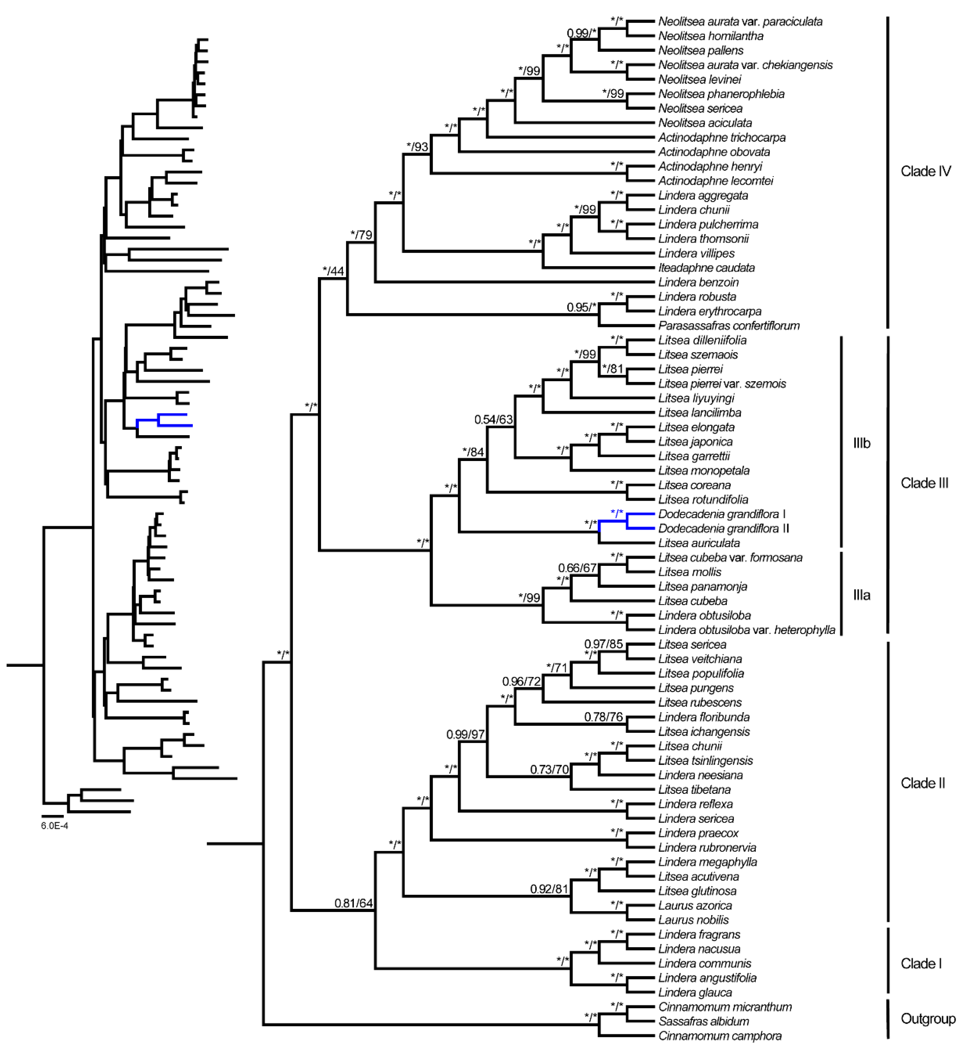 Forests 13 01240 g006 550