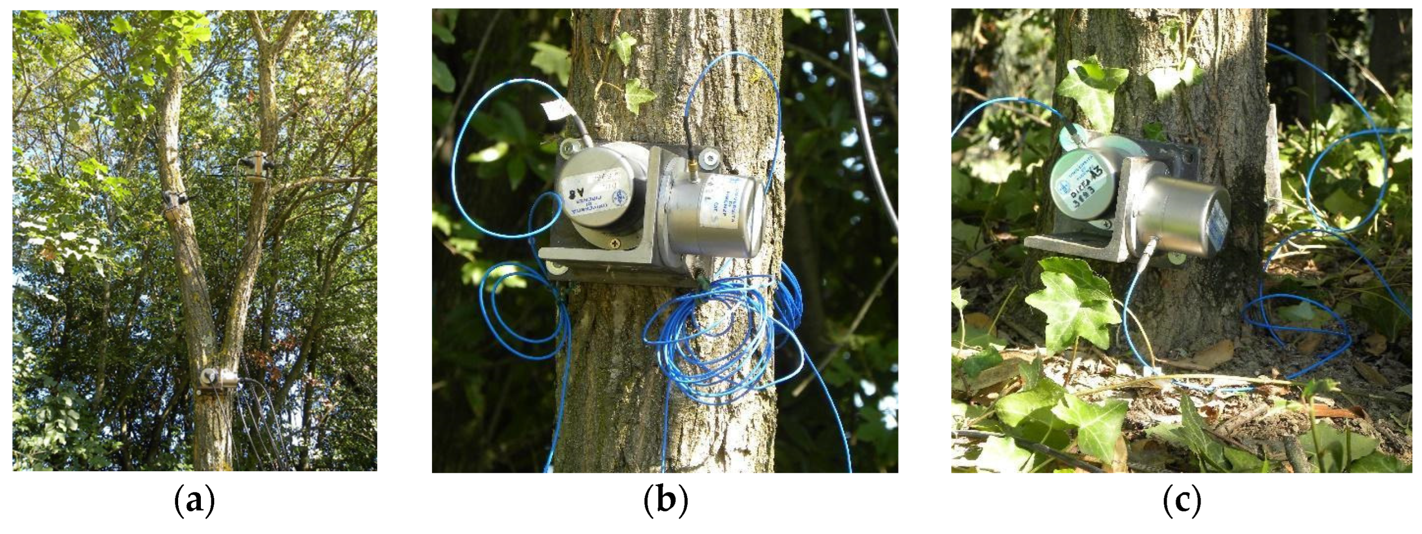 Forests 13 01243 g005 550
