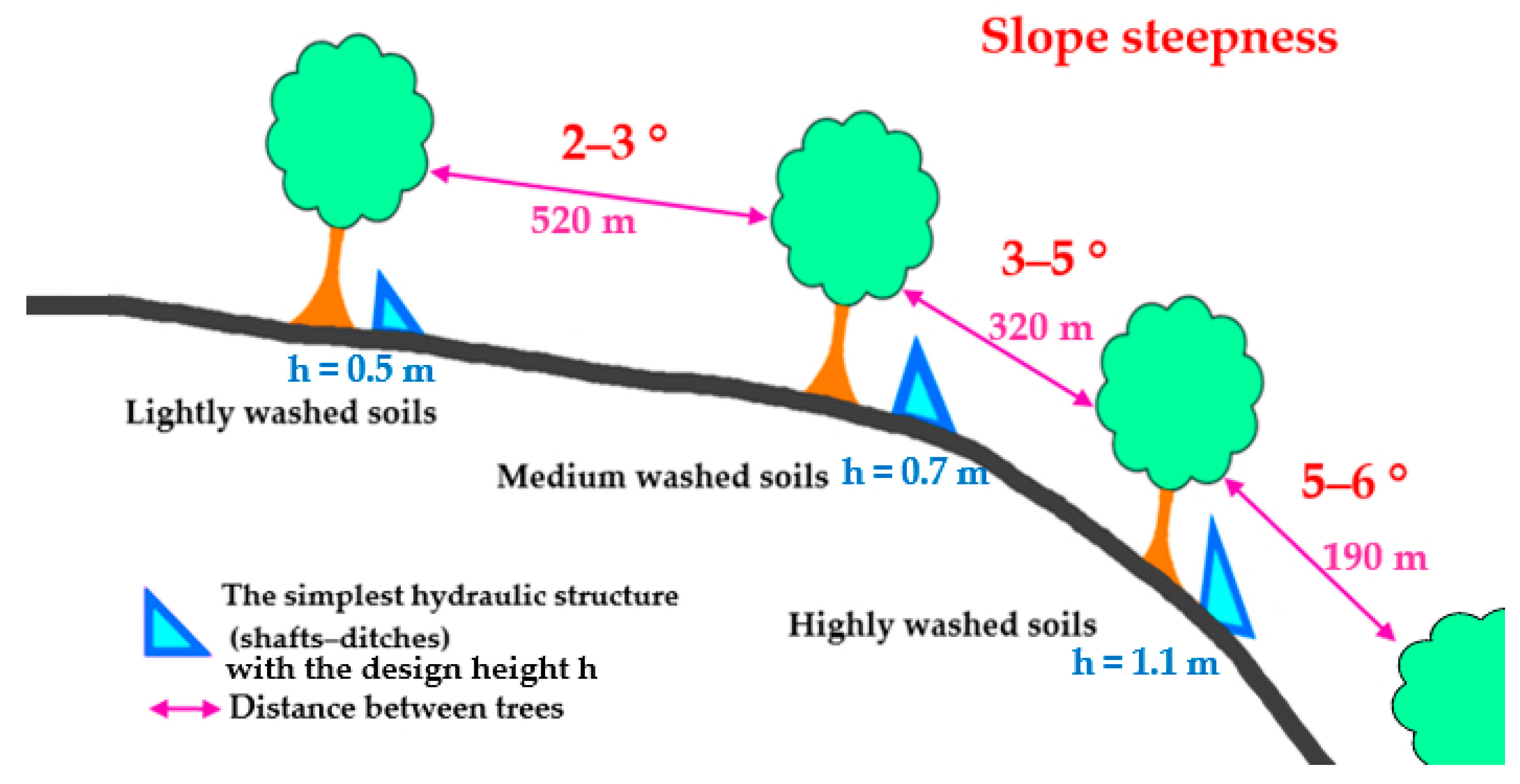 Forests 13 01248 g003