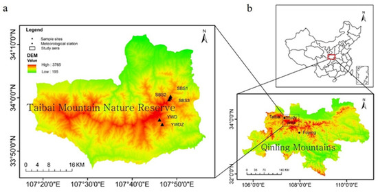 Response of Larix chinensis Radial Growth to Climatic
