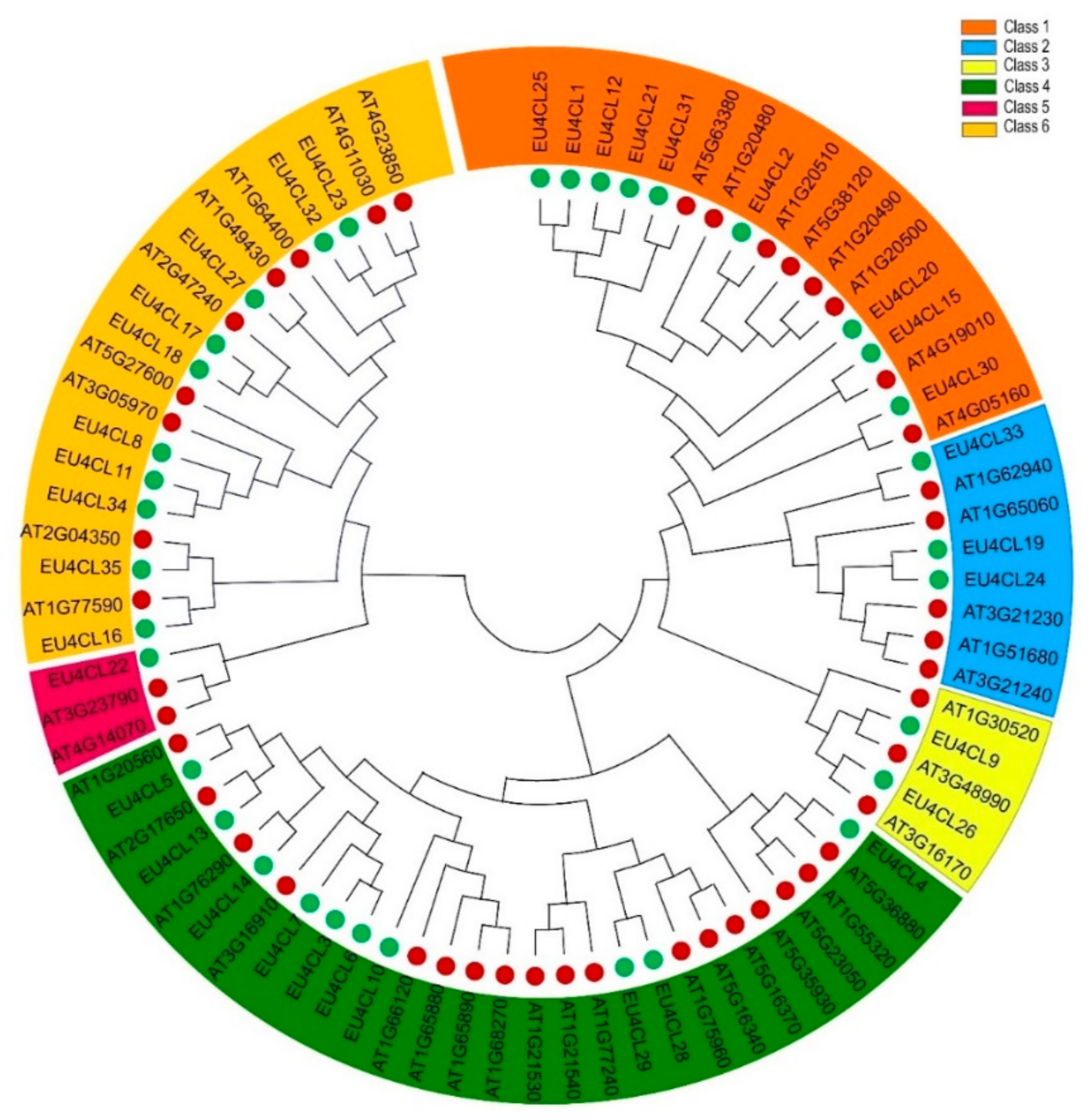 Forests 13 01253 g002