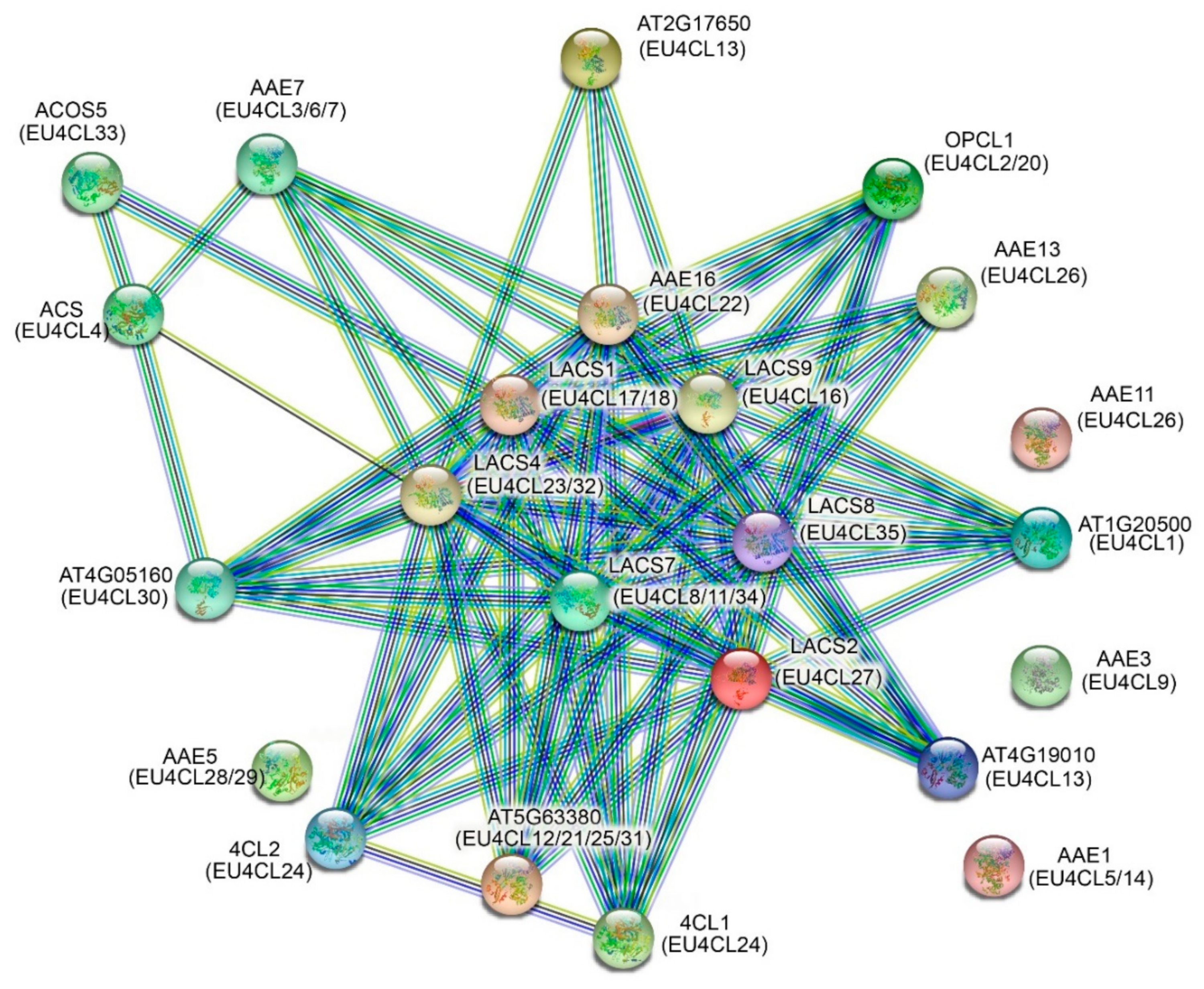 Forests 13 01253 g003
