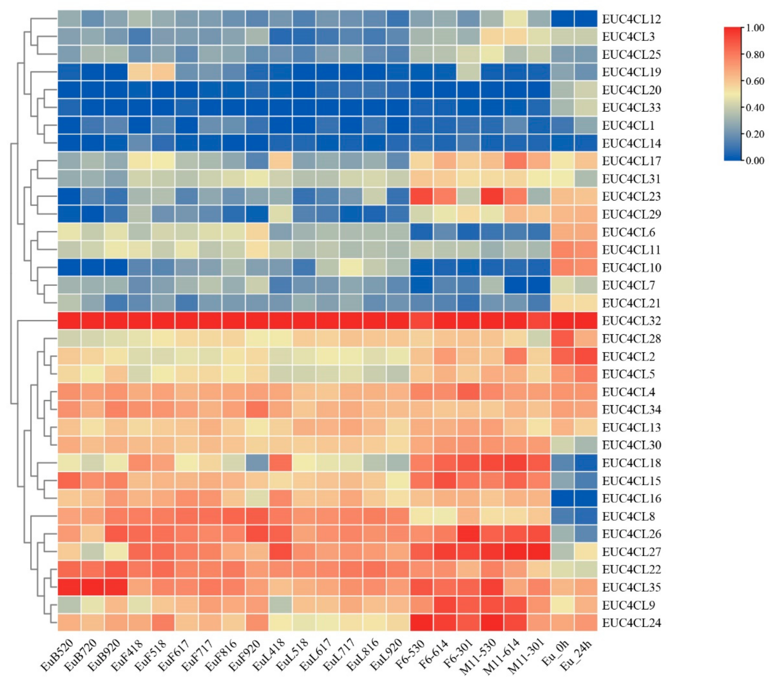 Forests 13 01253 g005
