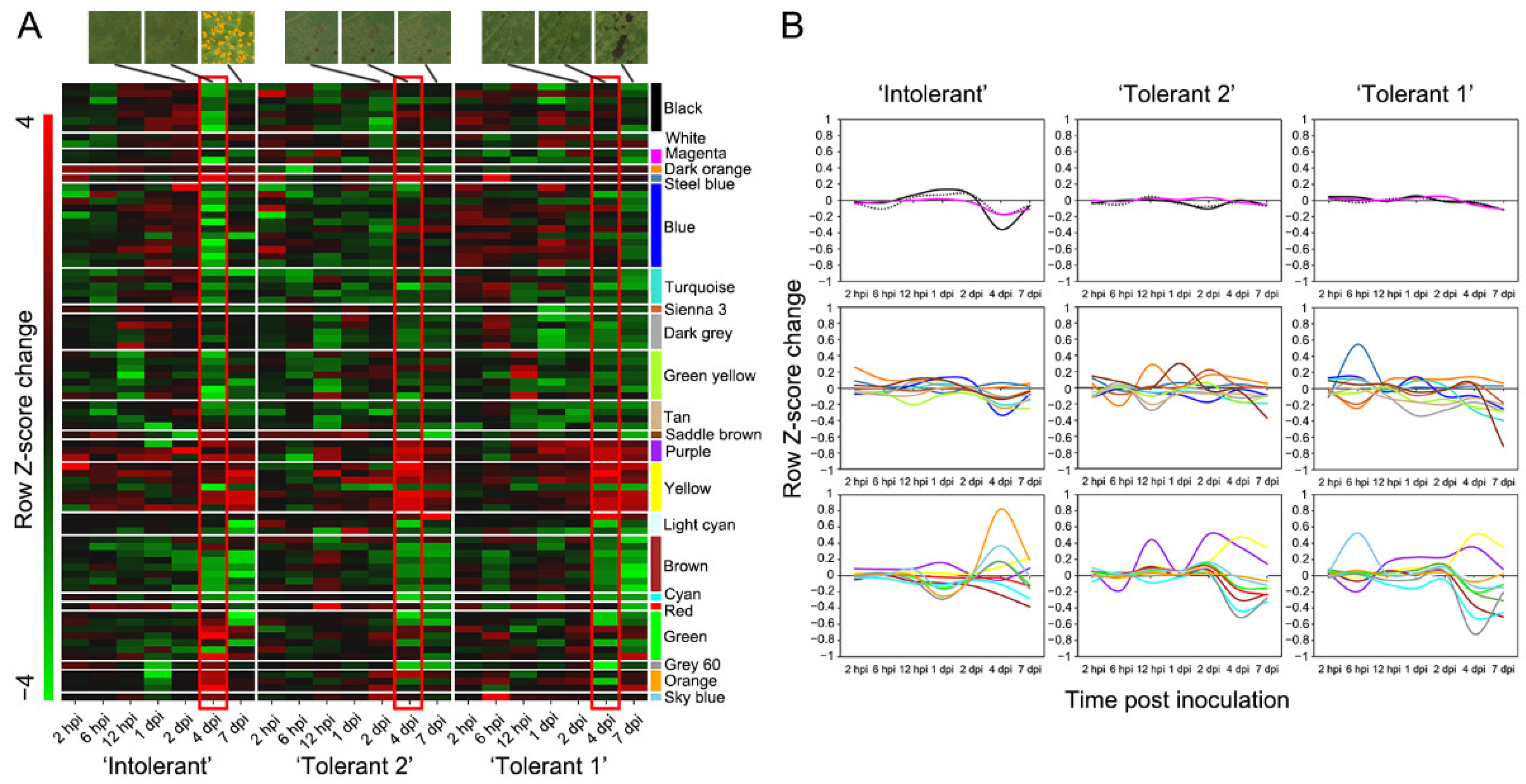 Forests 13 01255 g001 550