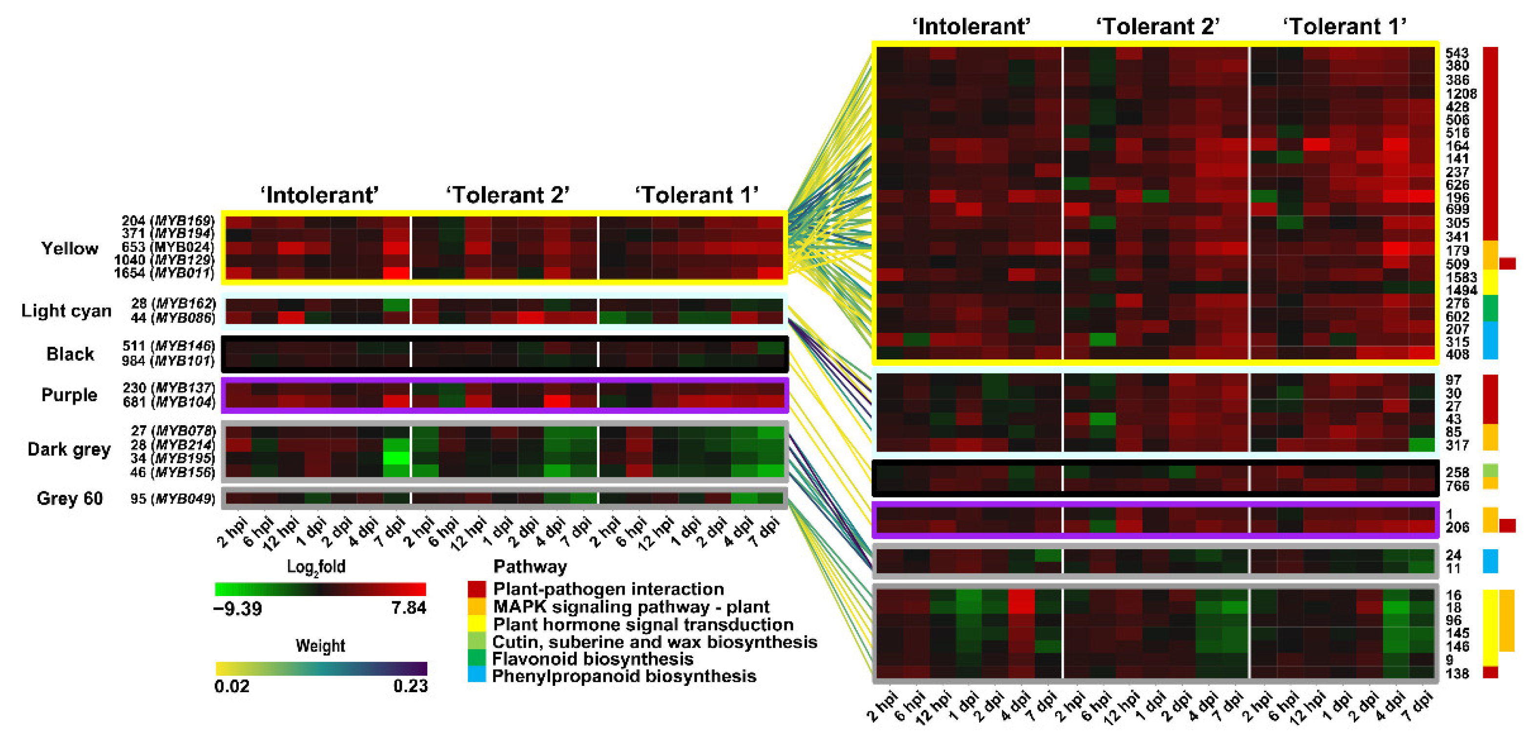 Forests 13 01255 g007 550