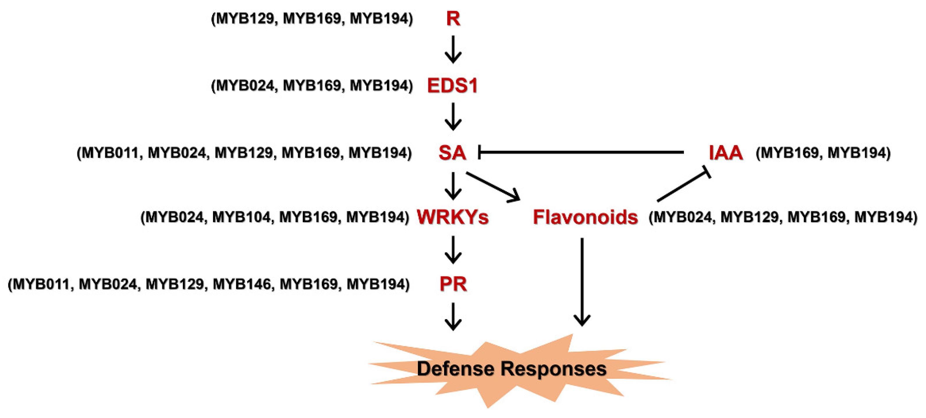 Forests 13 01255 g008 550