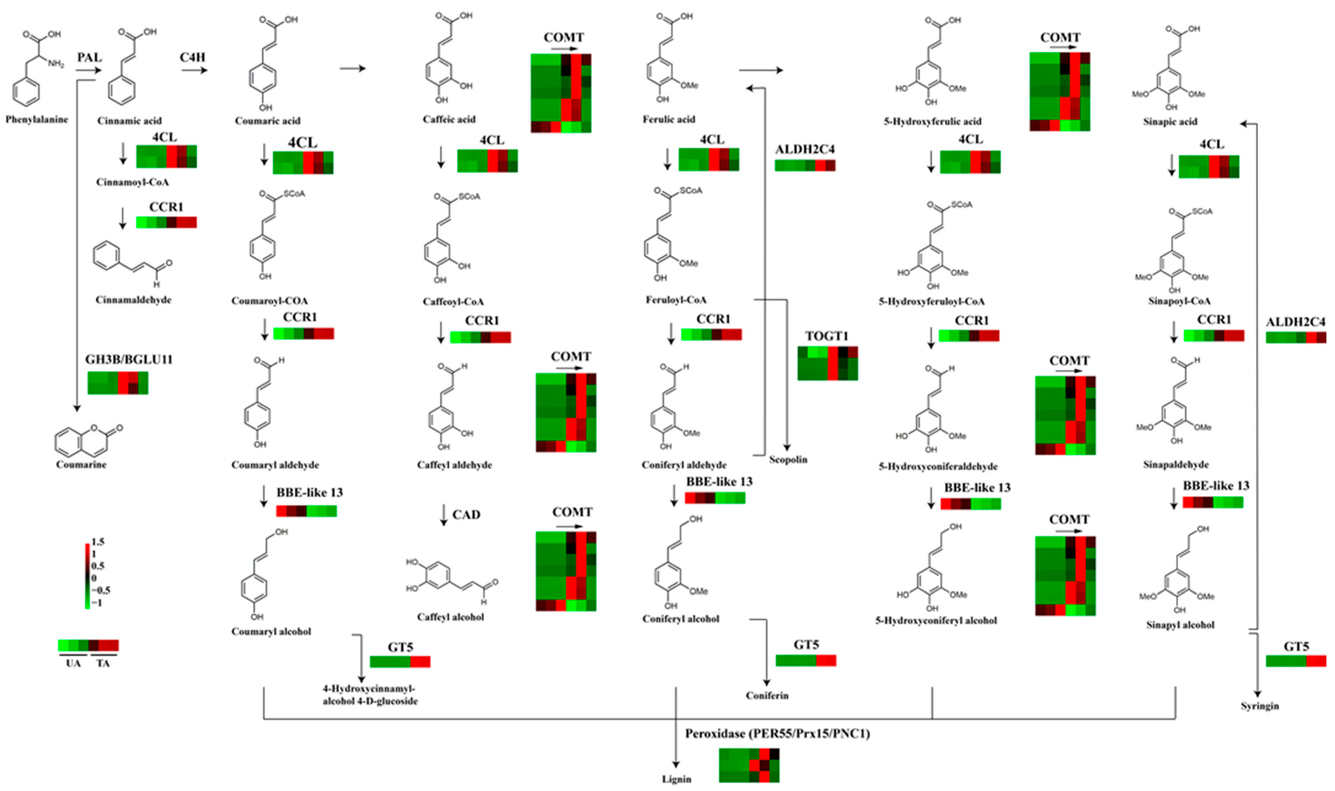 Forests 13 01258 g003 550