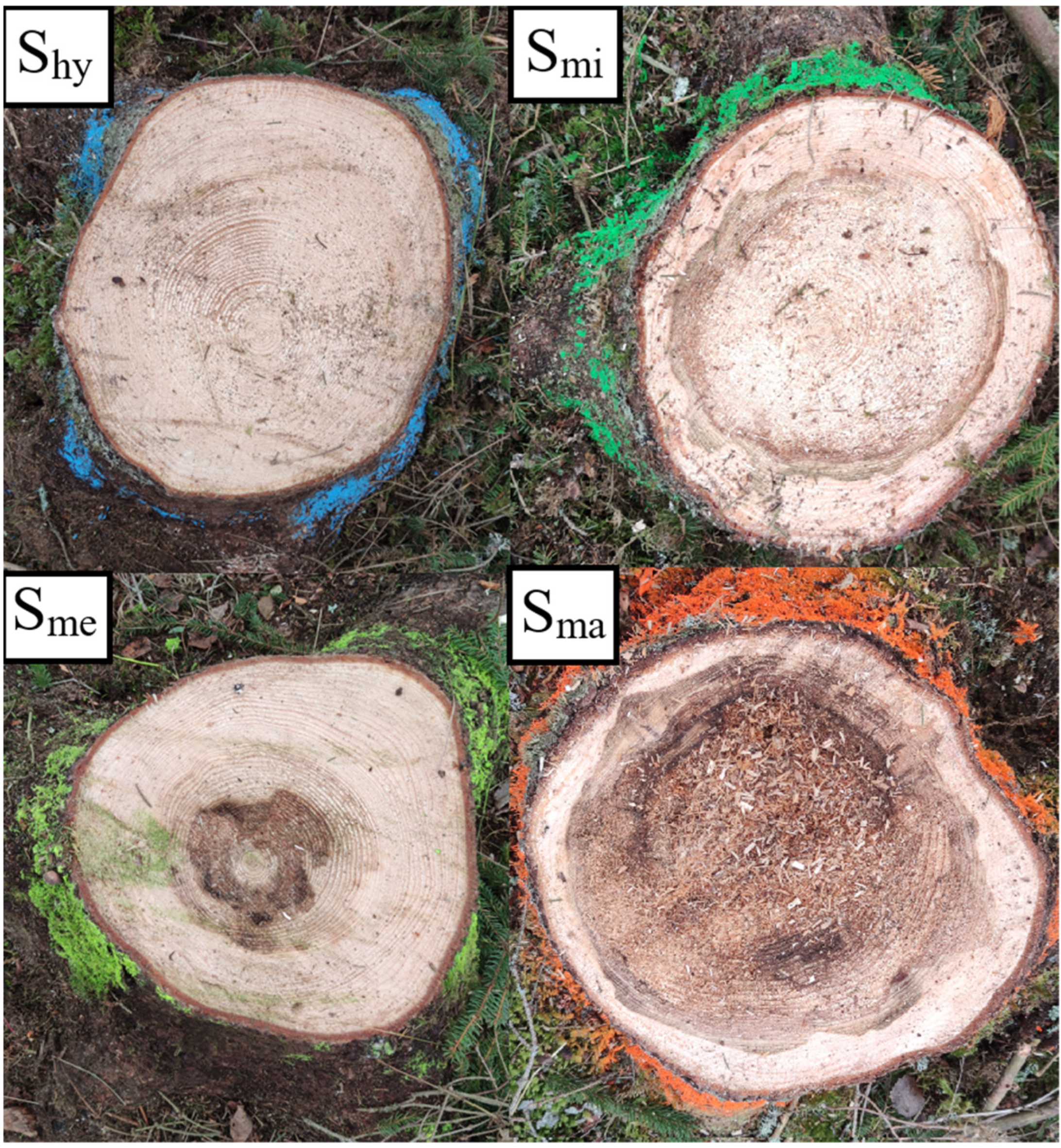 Forests 13 01260 g003