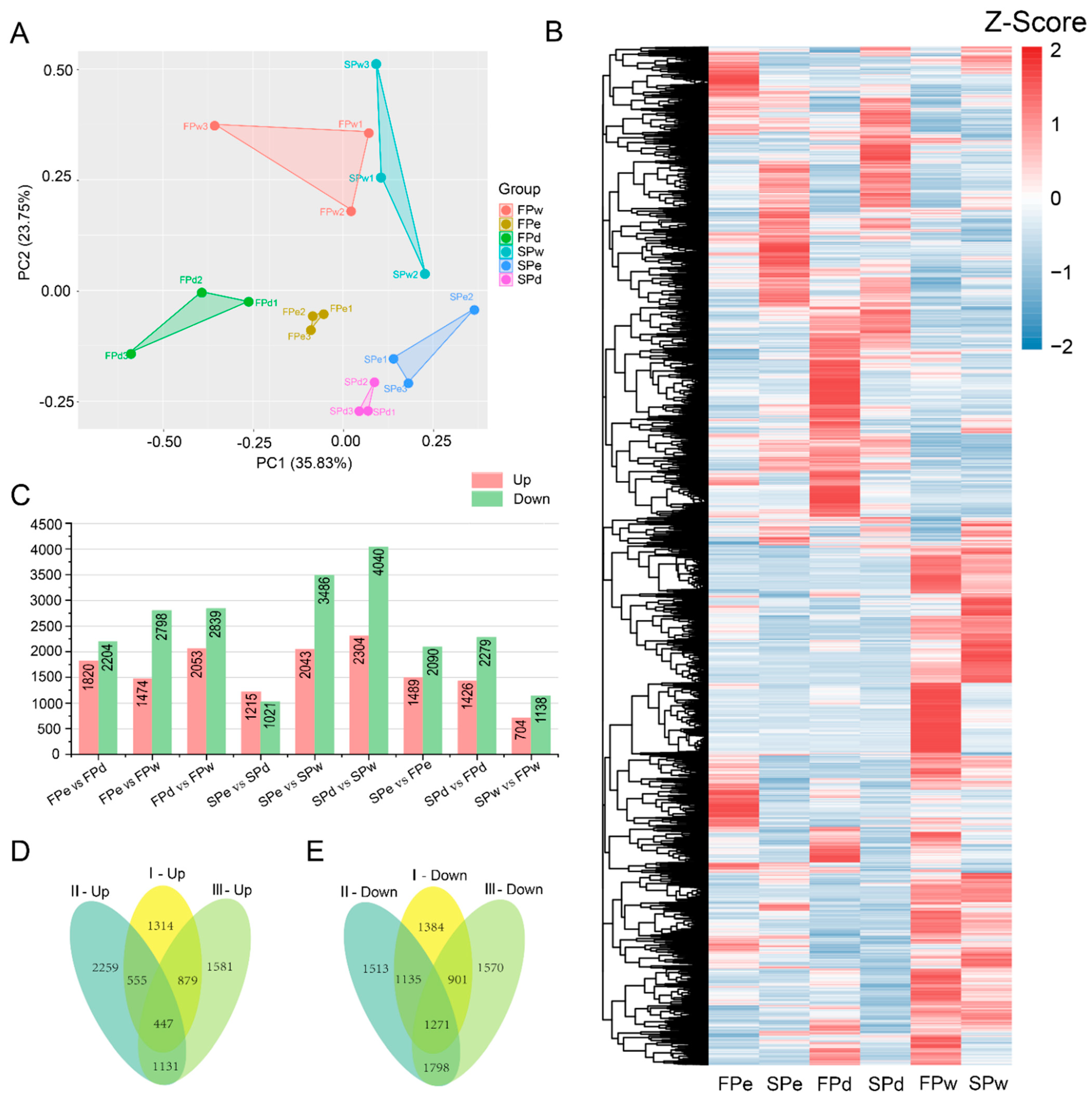 Forests 13 01261 g002 Forests 13 01261 g002