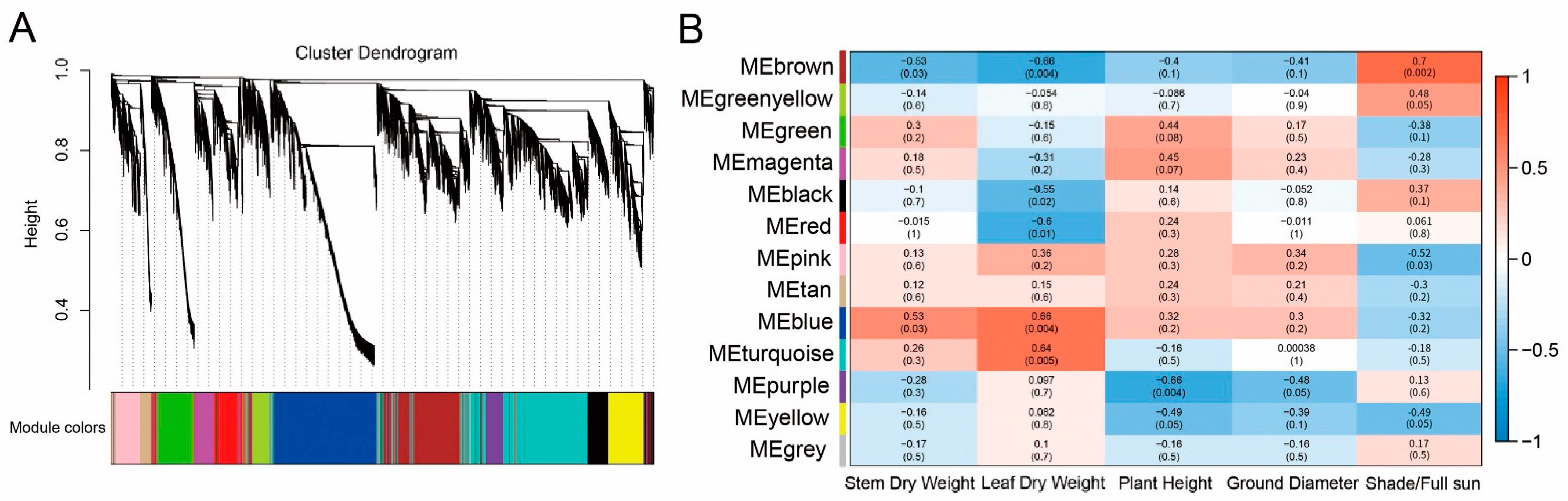 Forests 13 01261 g004 Forests 13 01261 g004