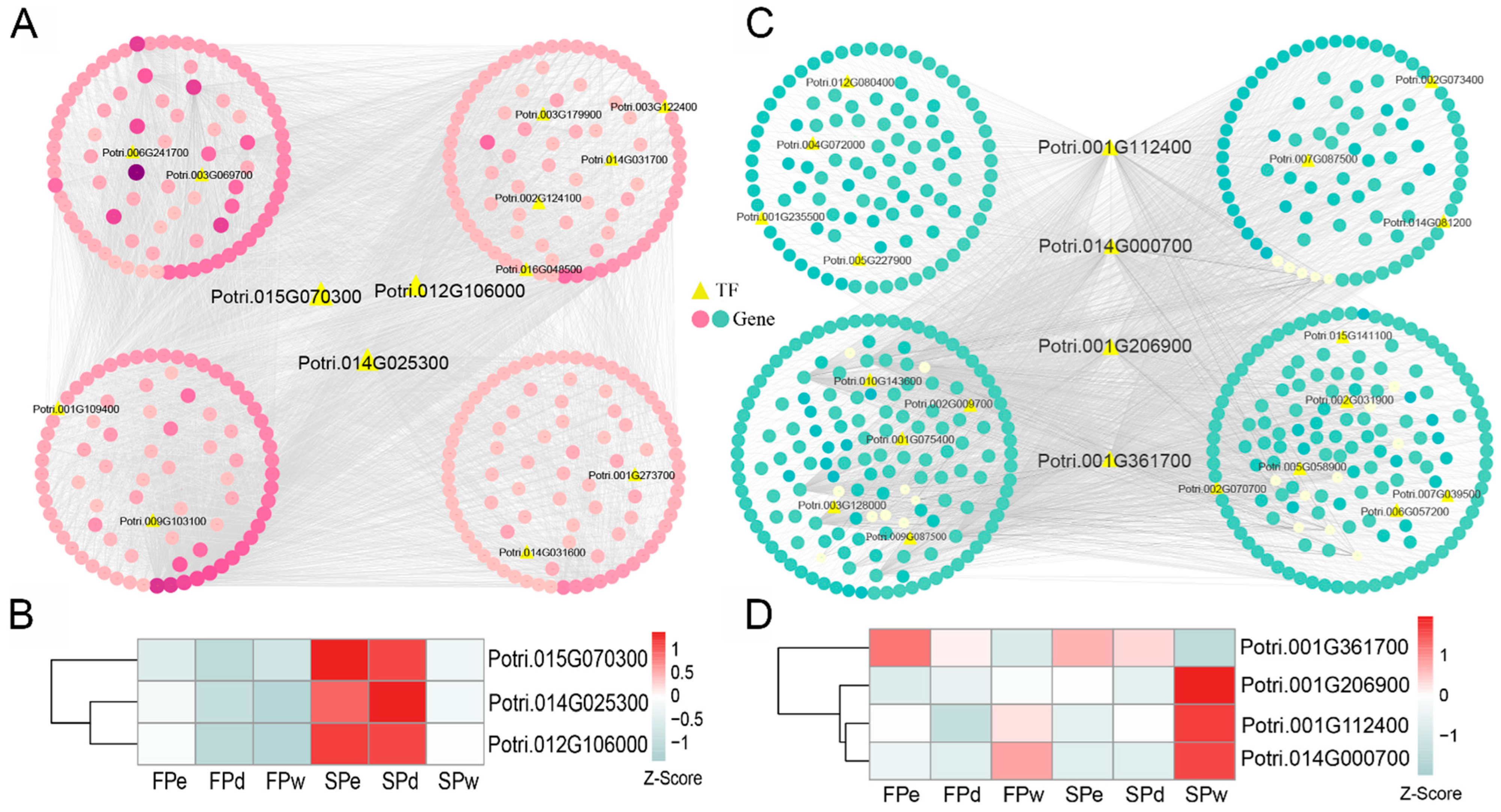 Forests 13 01261 g005 Forests 13 01261 g005