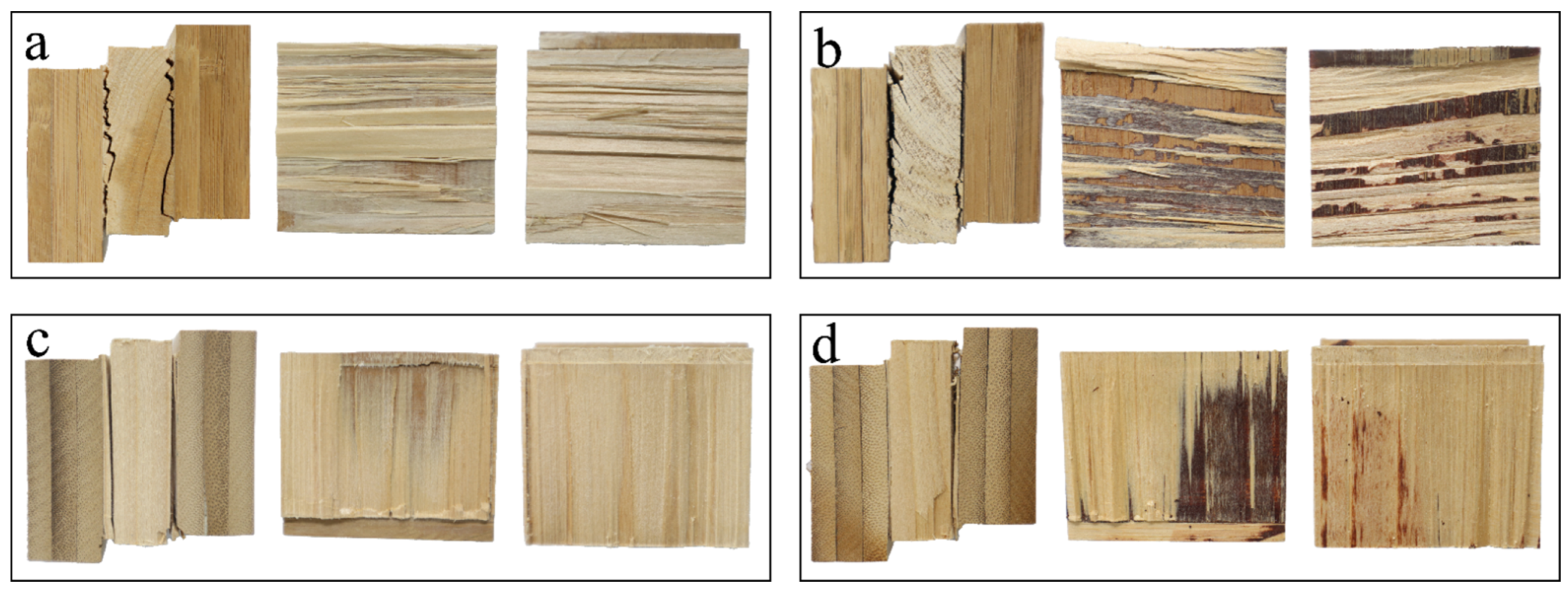 Forests 13 01271 g004