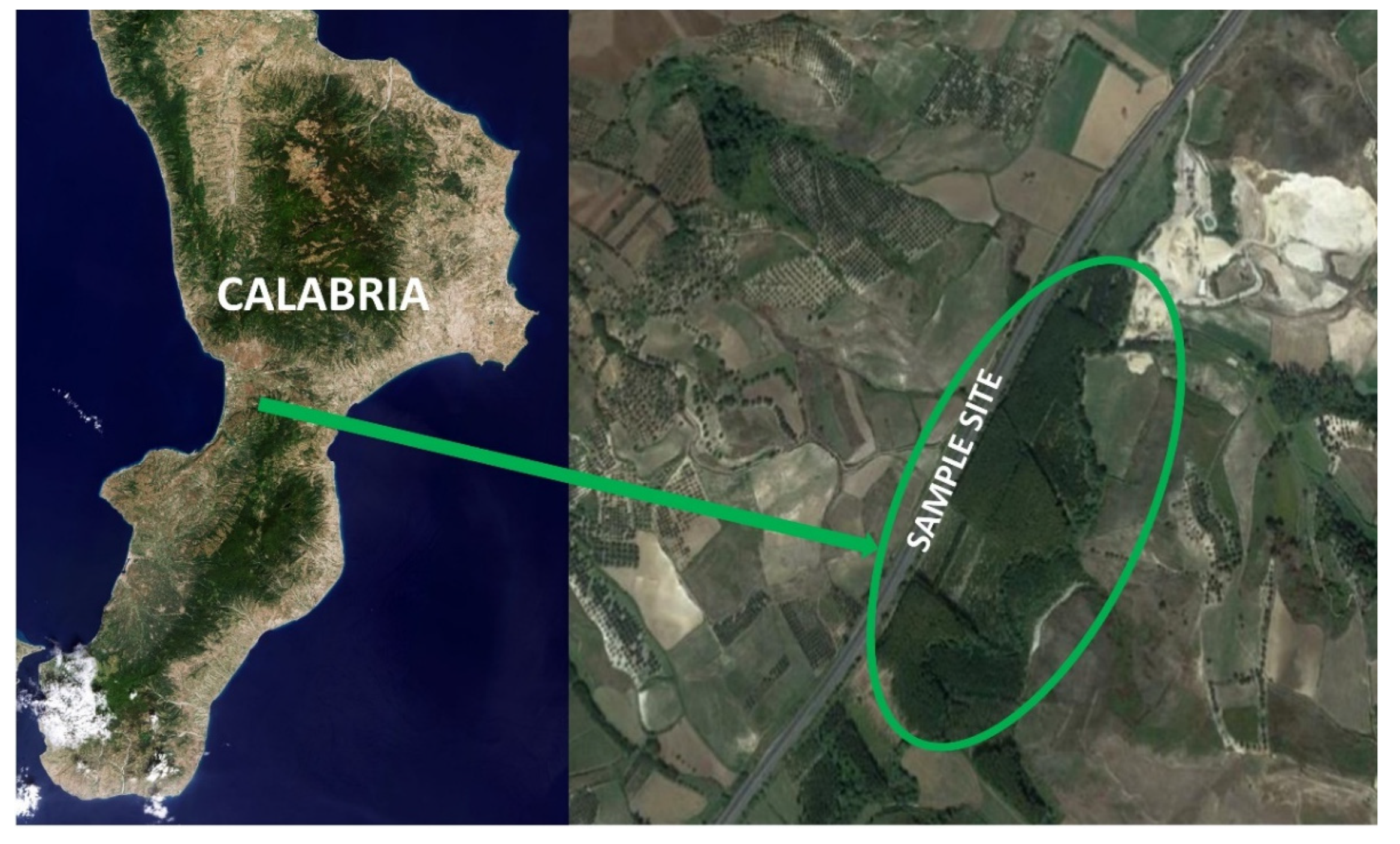 Forests 13 01273 g001 550