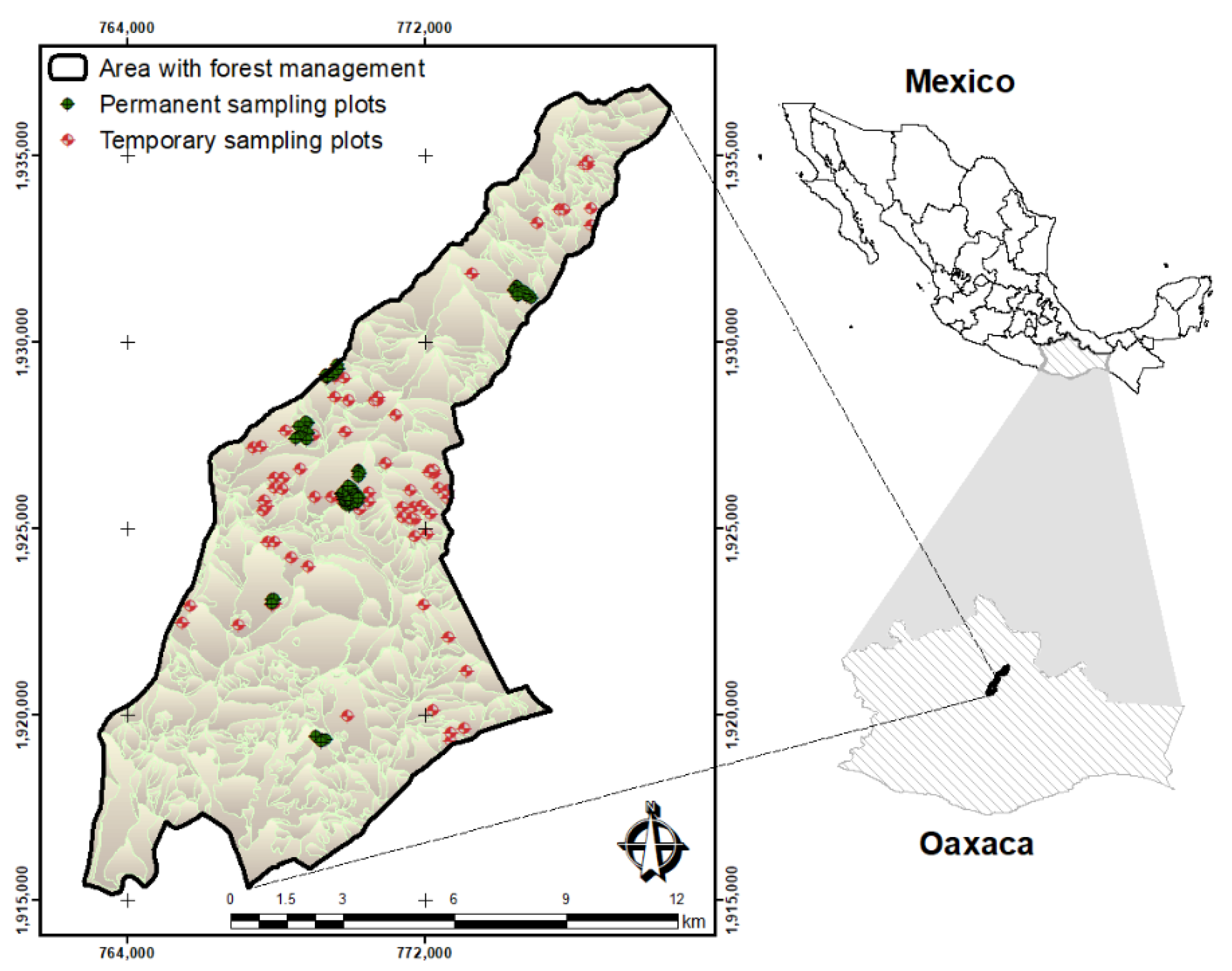 Forests 13 01277 g001