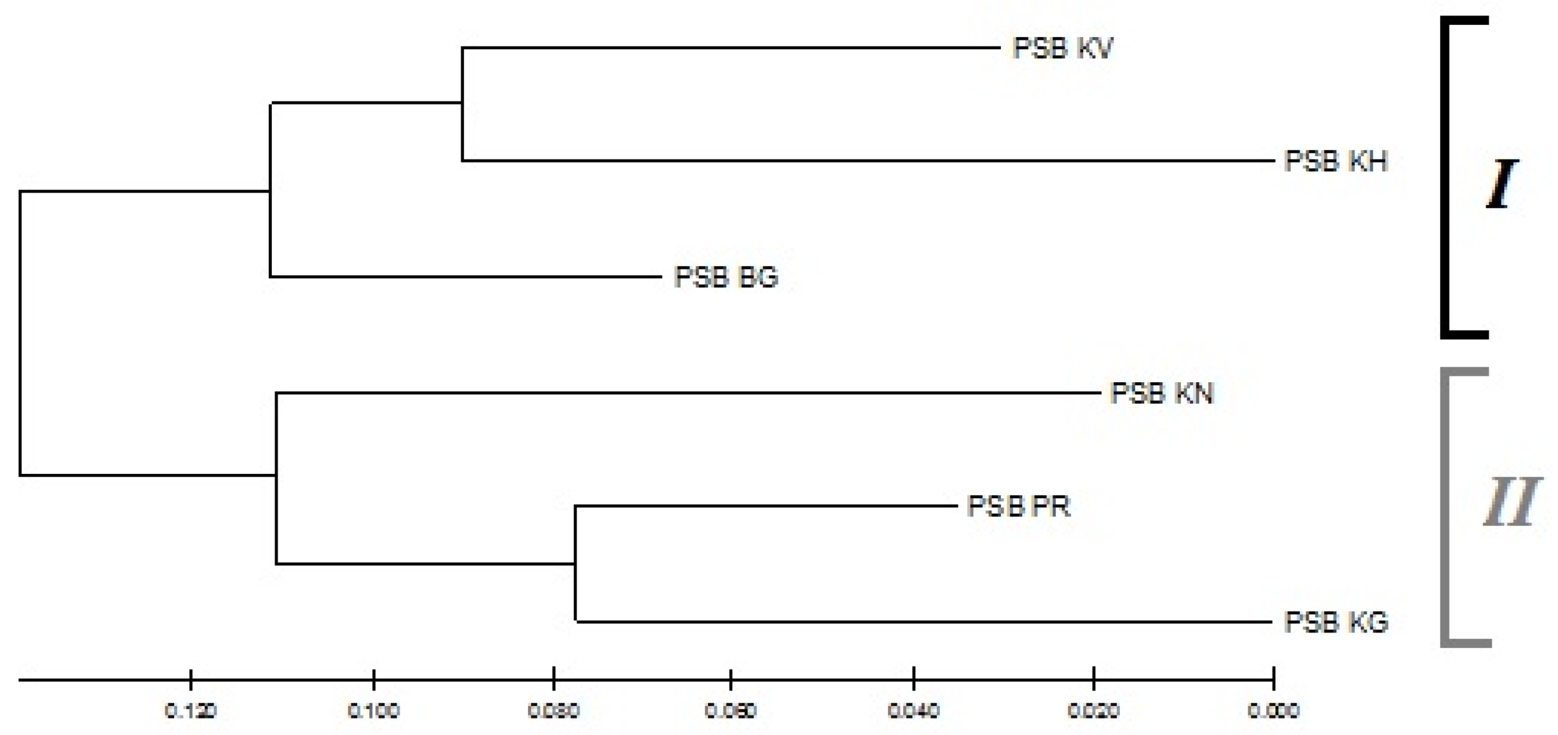 Forests 13 01278 g003