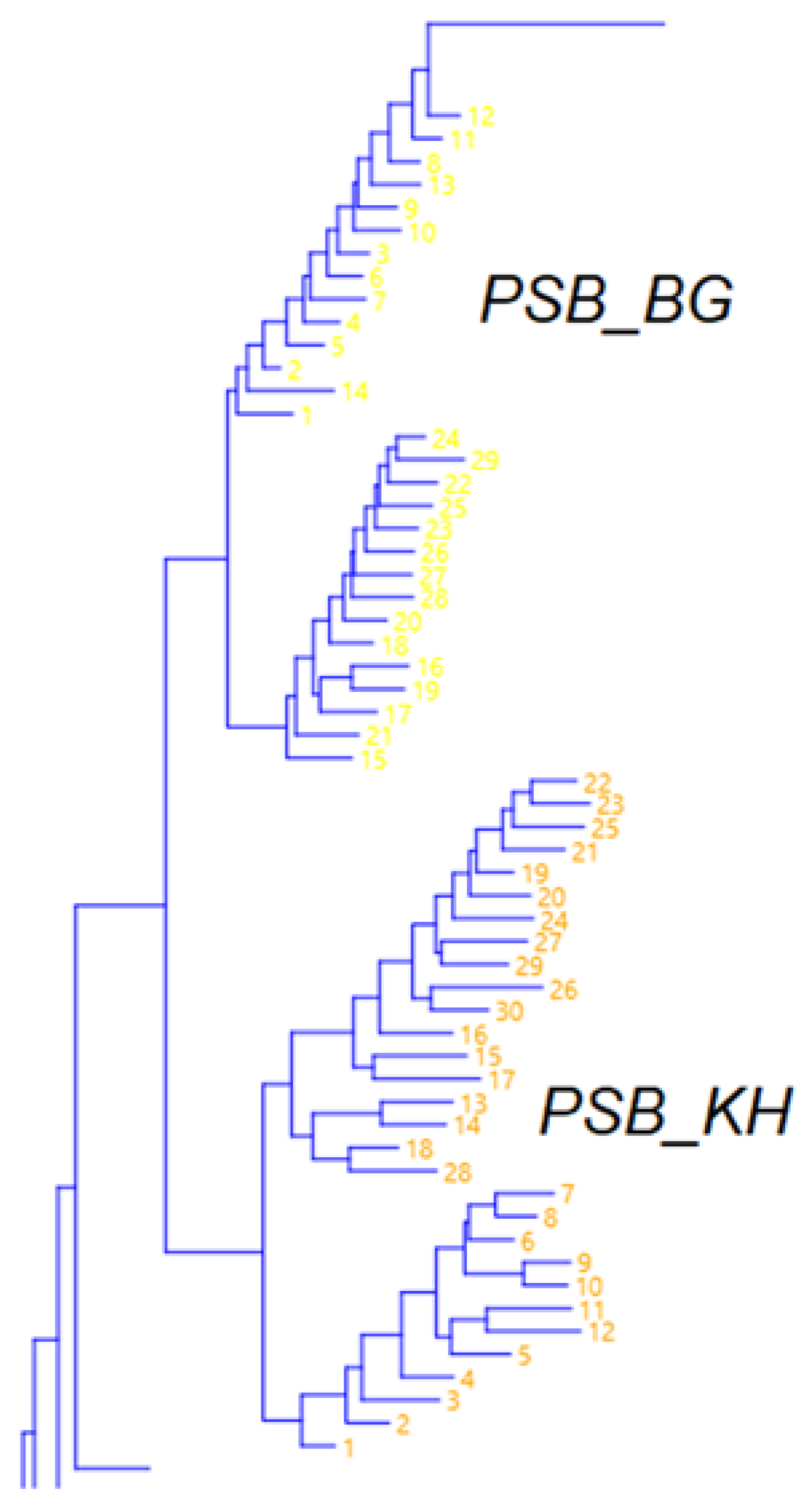Forests 13 01278 g004