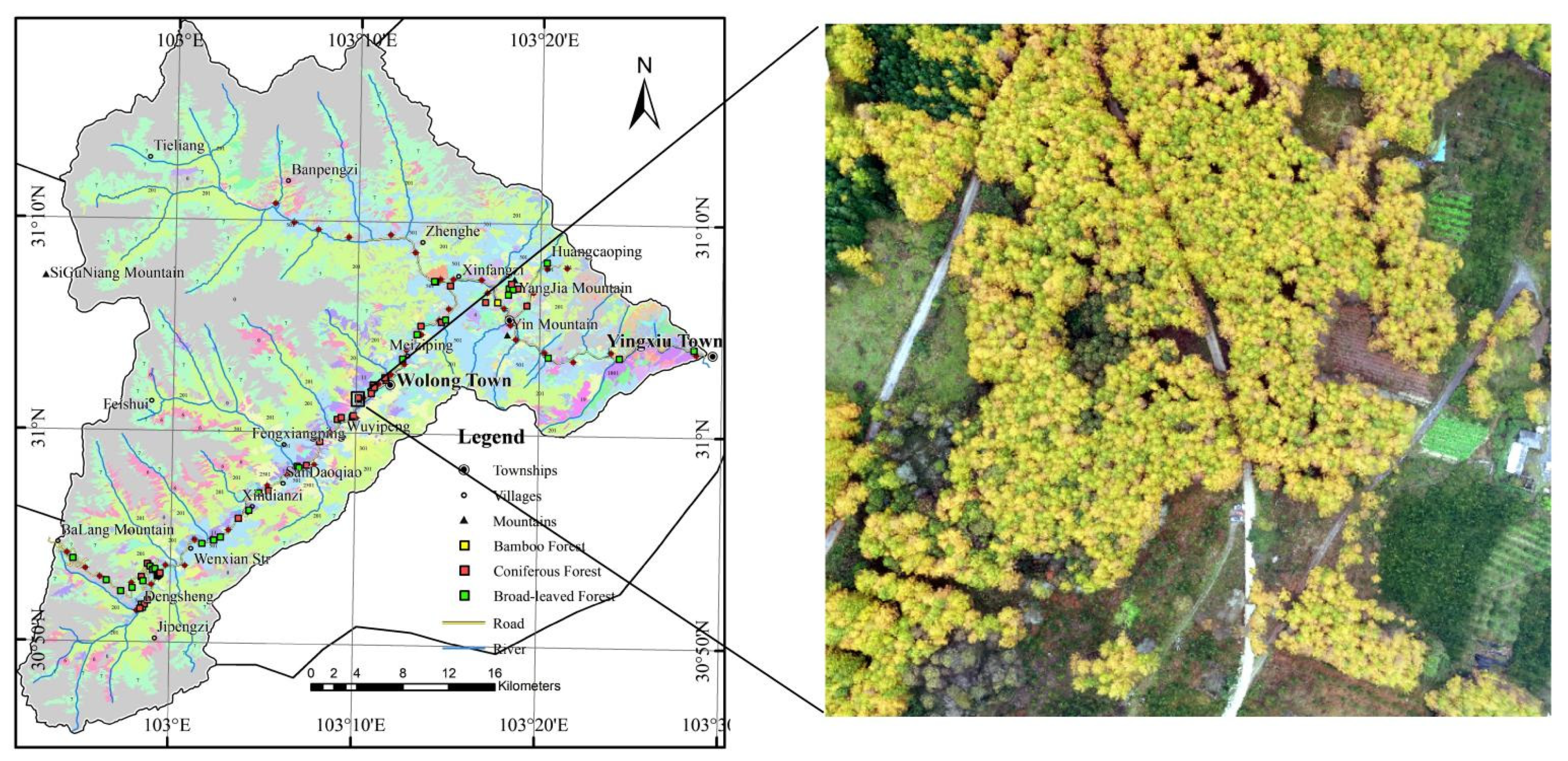 Forests 13 01282 g002 550
