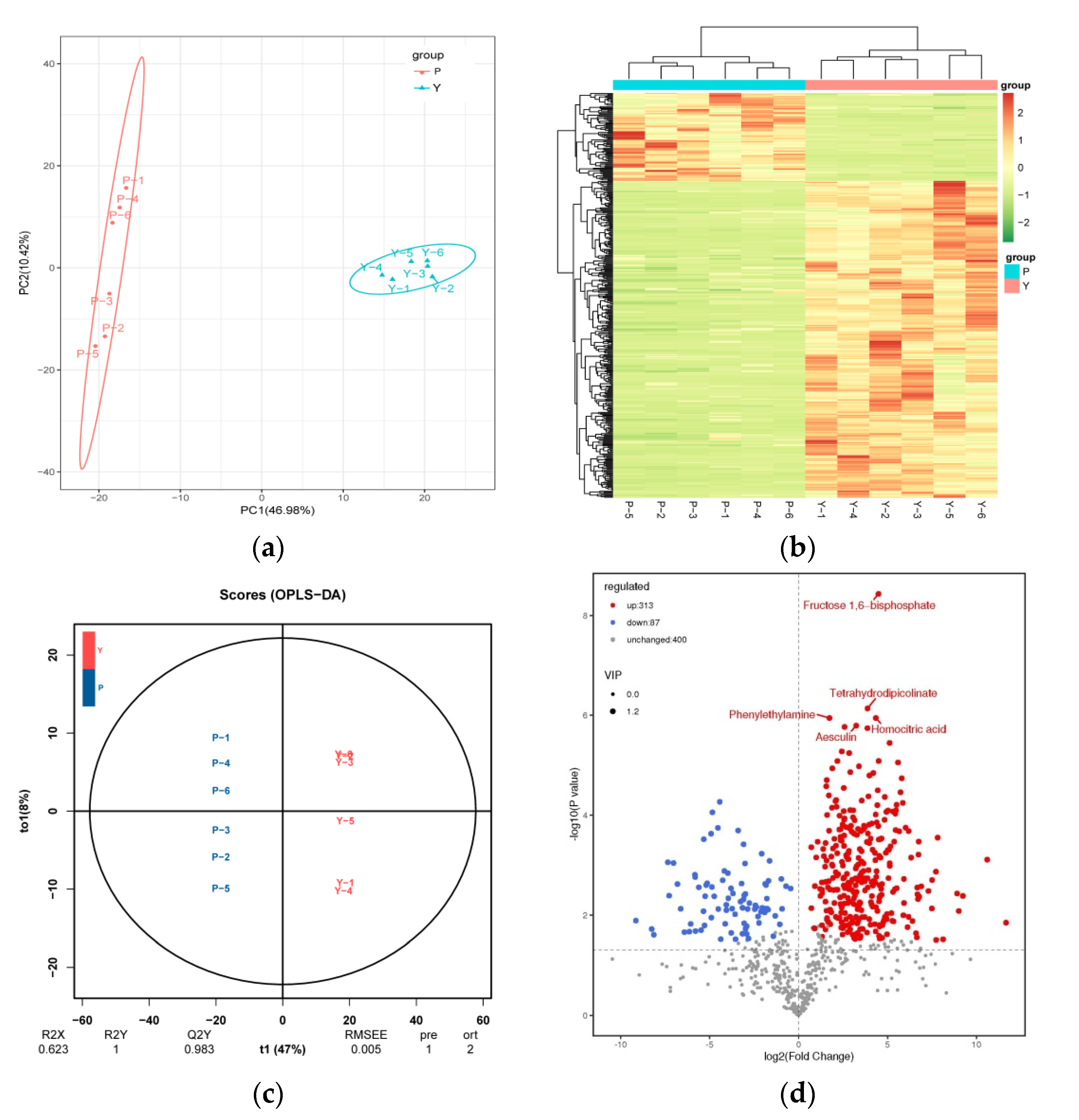 Forests 13 01285 g001