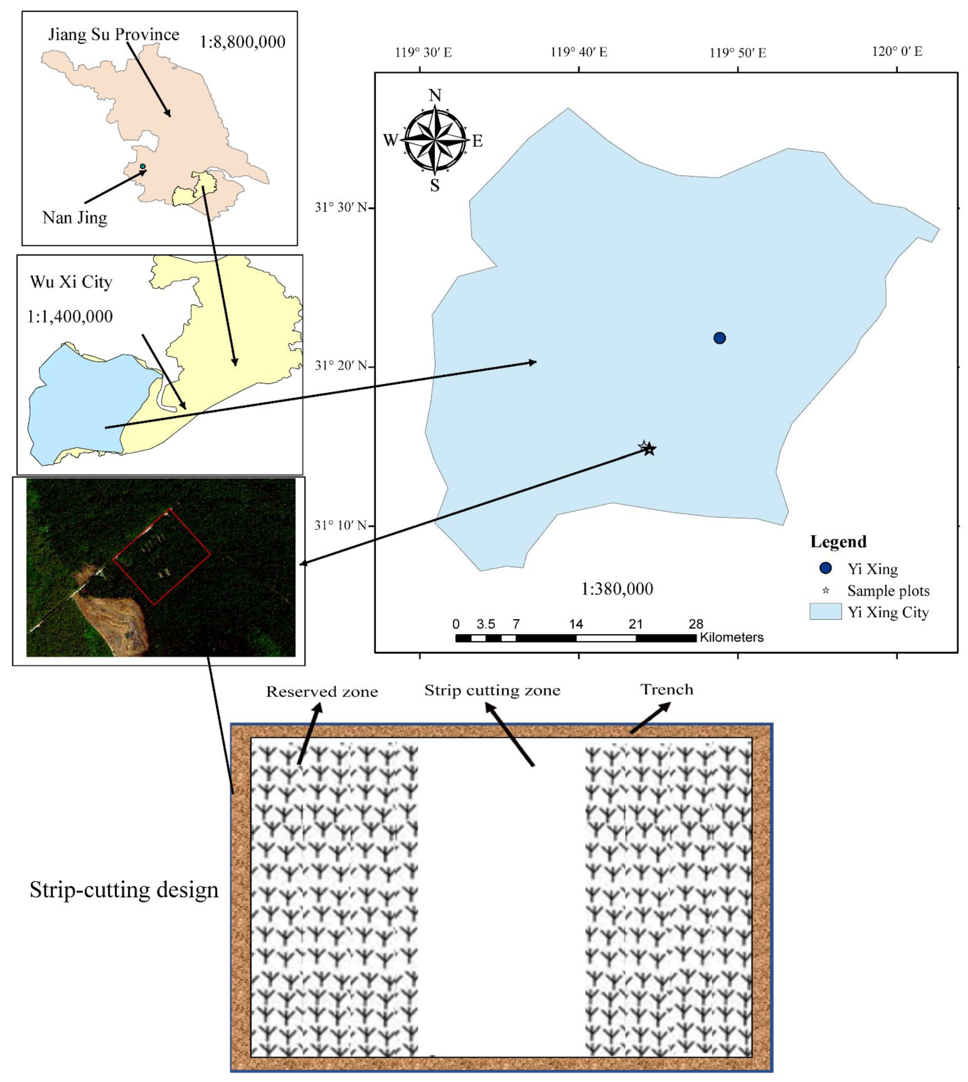 Forests 13 01293 g001