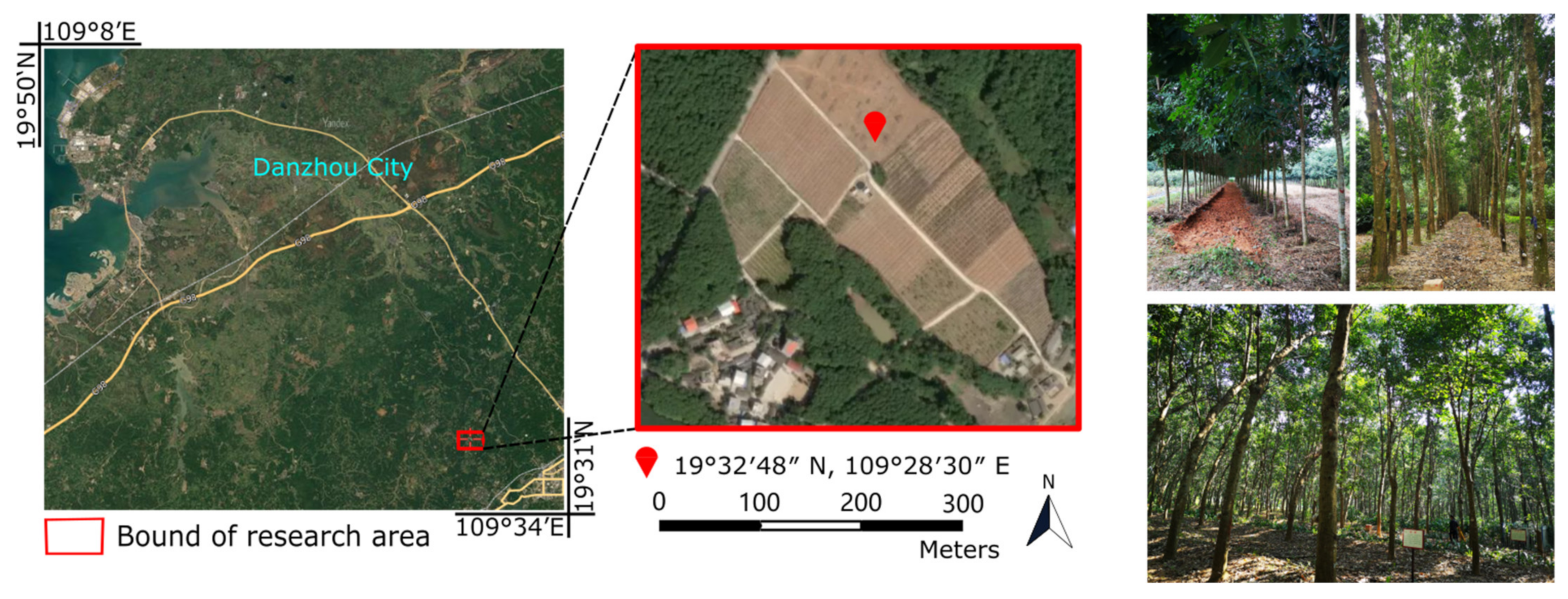 Forests 13 01298 g002