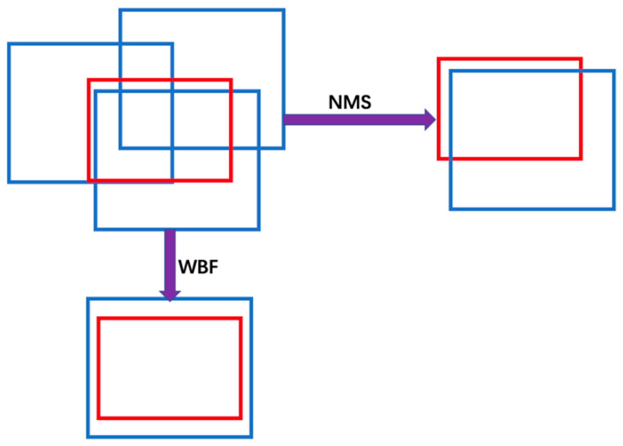 Forests 13 01301 g002