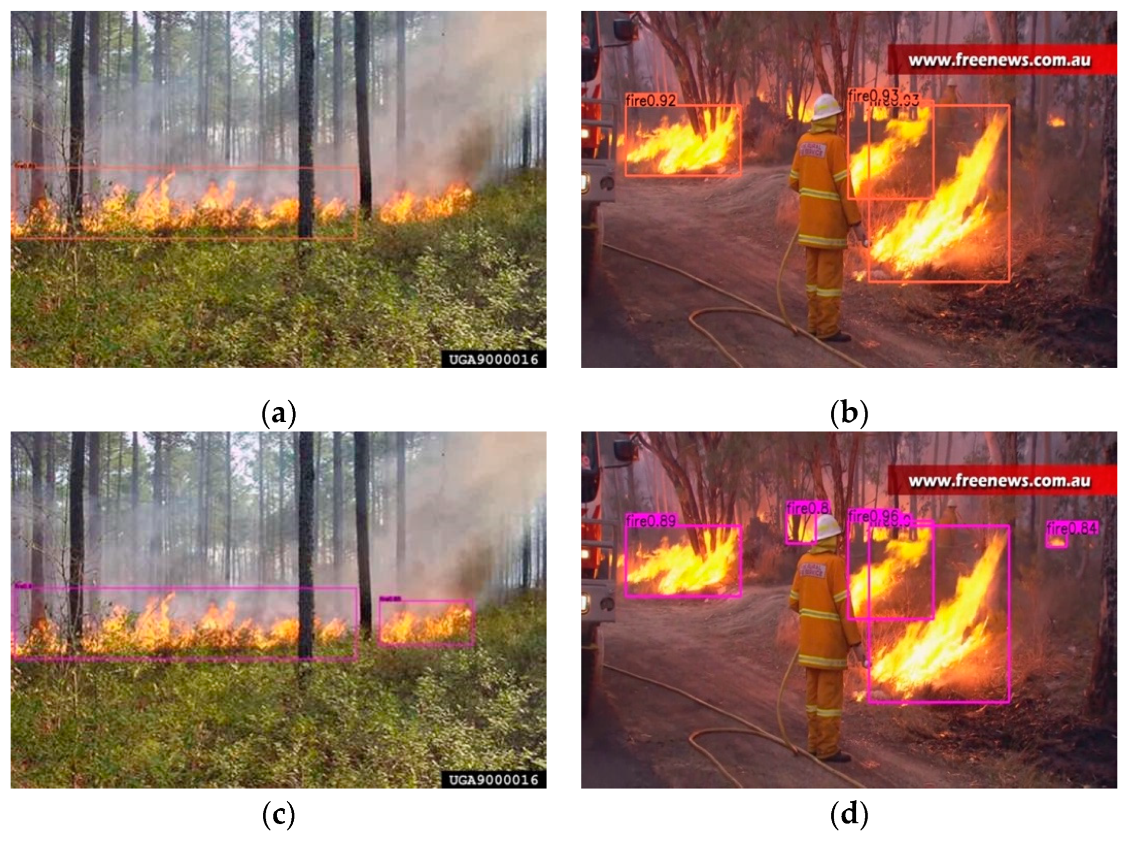 Forests 13 01301 g006