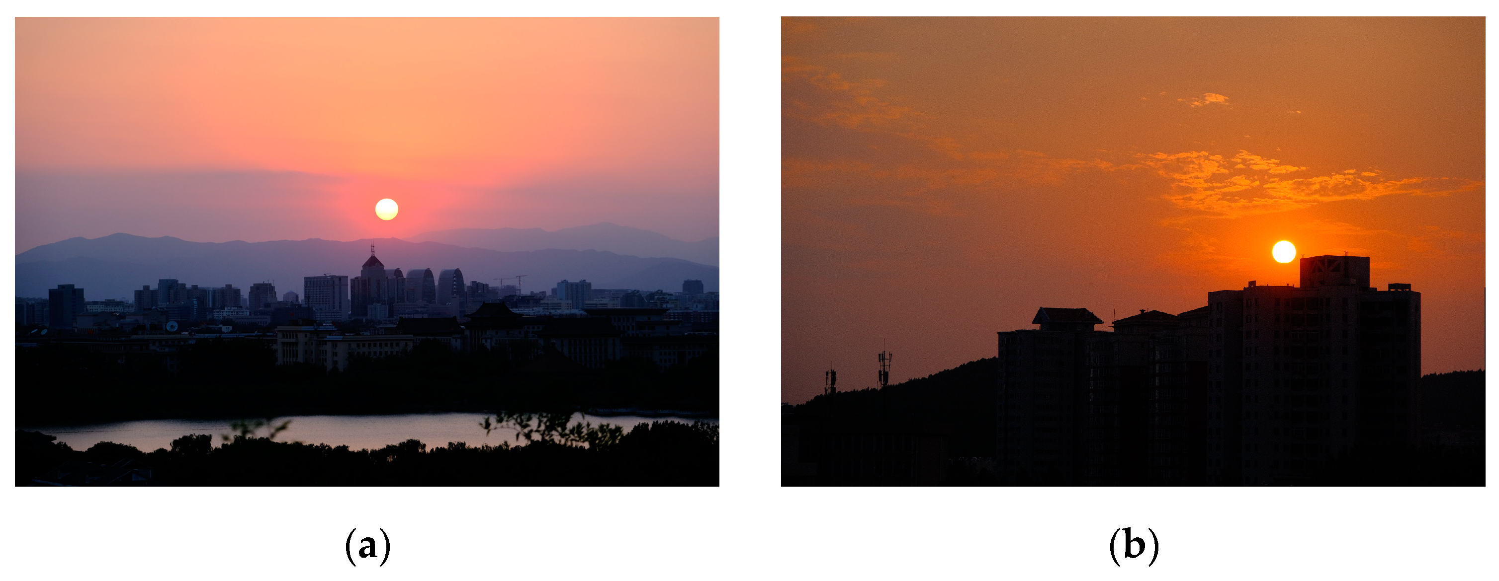 Forests 13 01301 g007