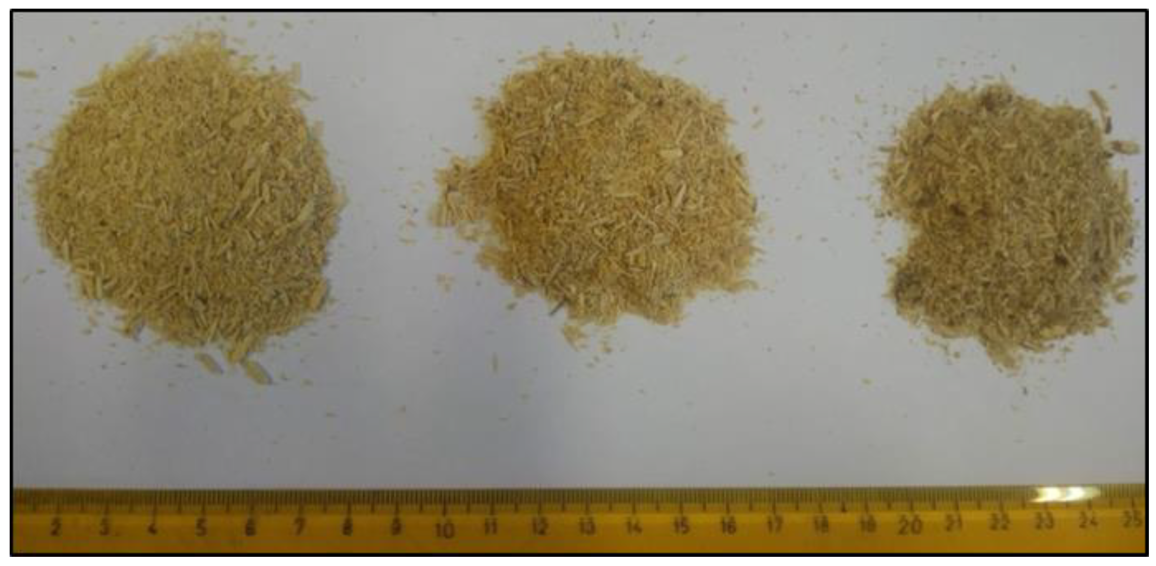 Forests 13 01303 g001