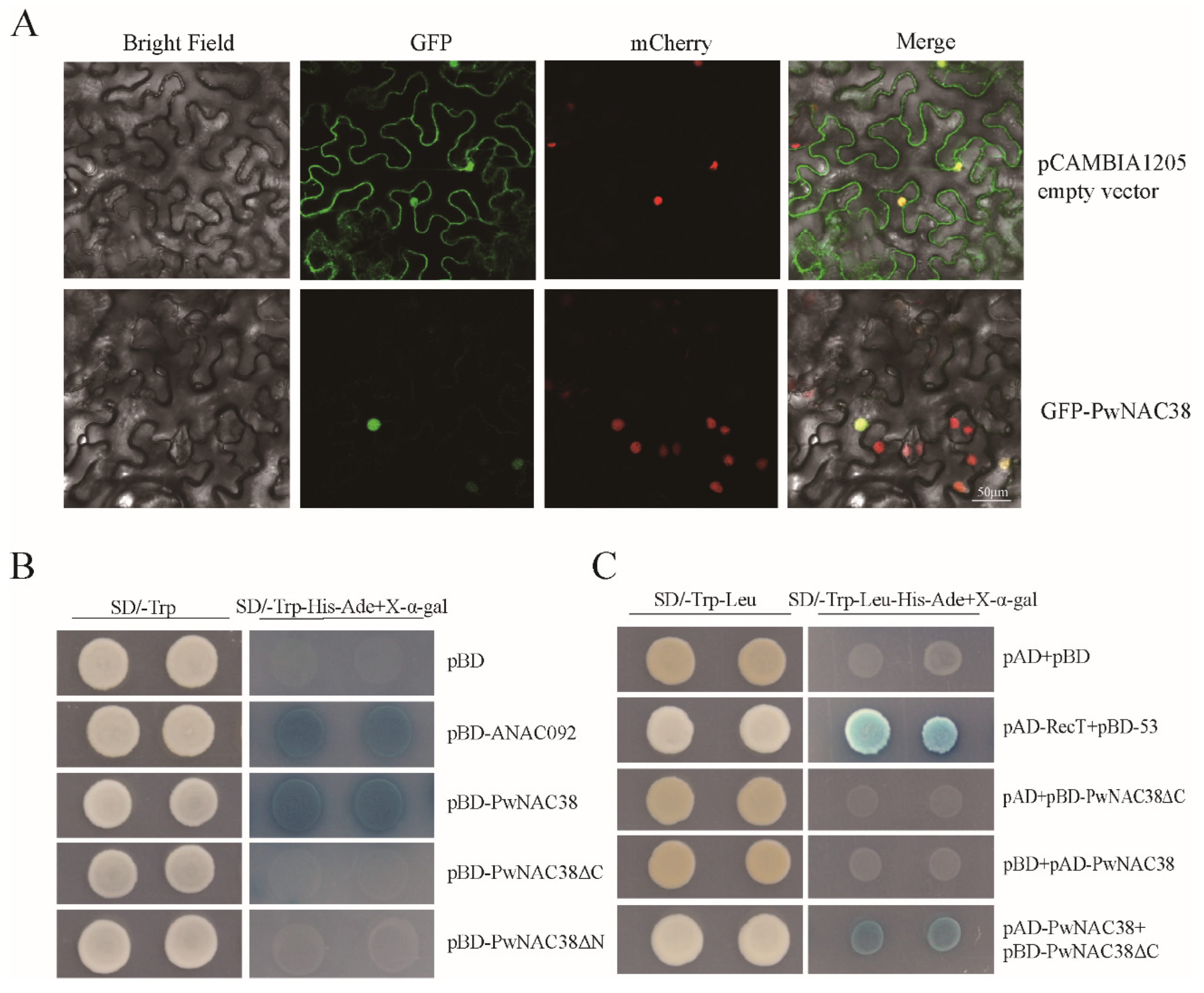Forests 13 01304 g002