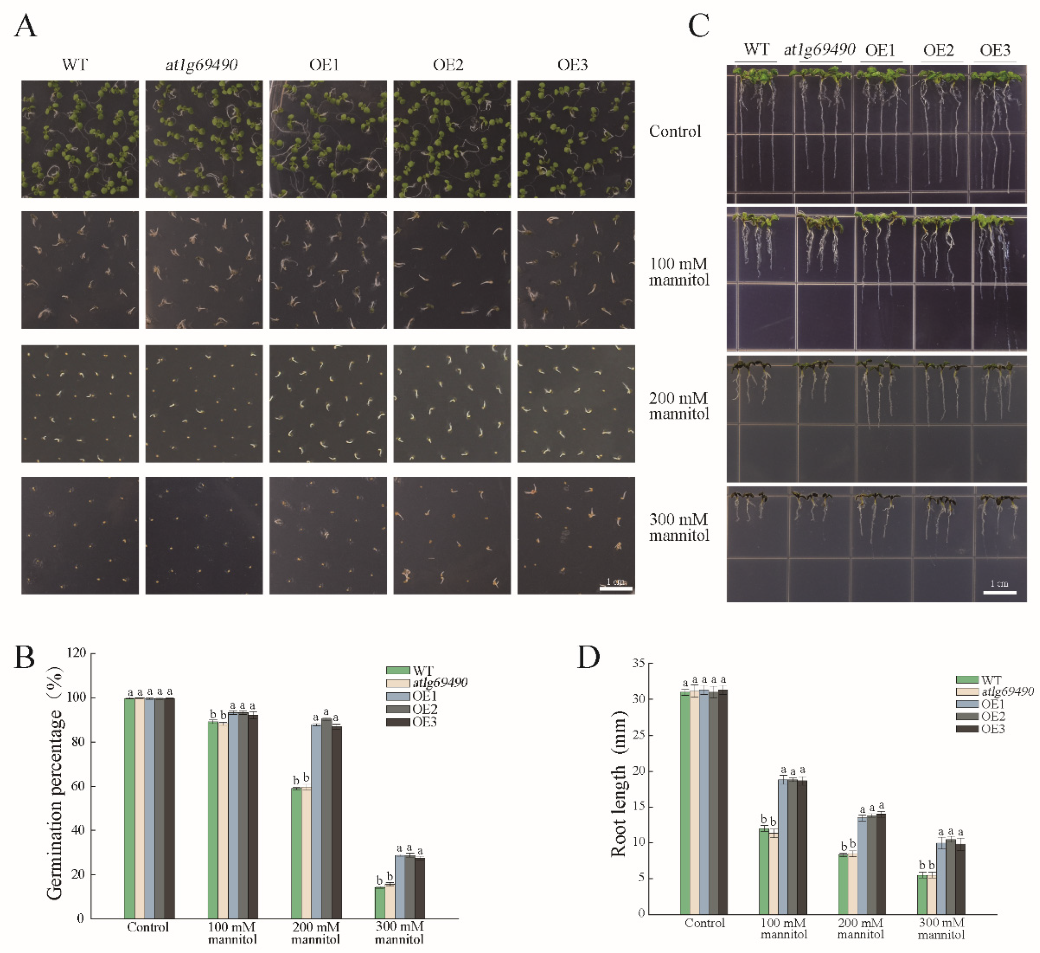 Forests 13 01304 g003