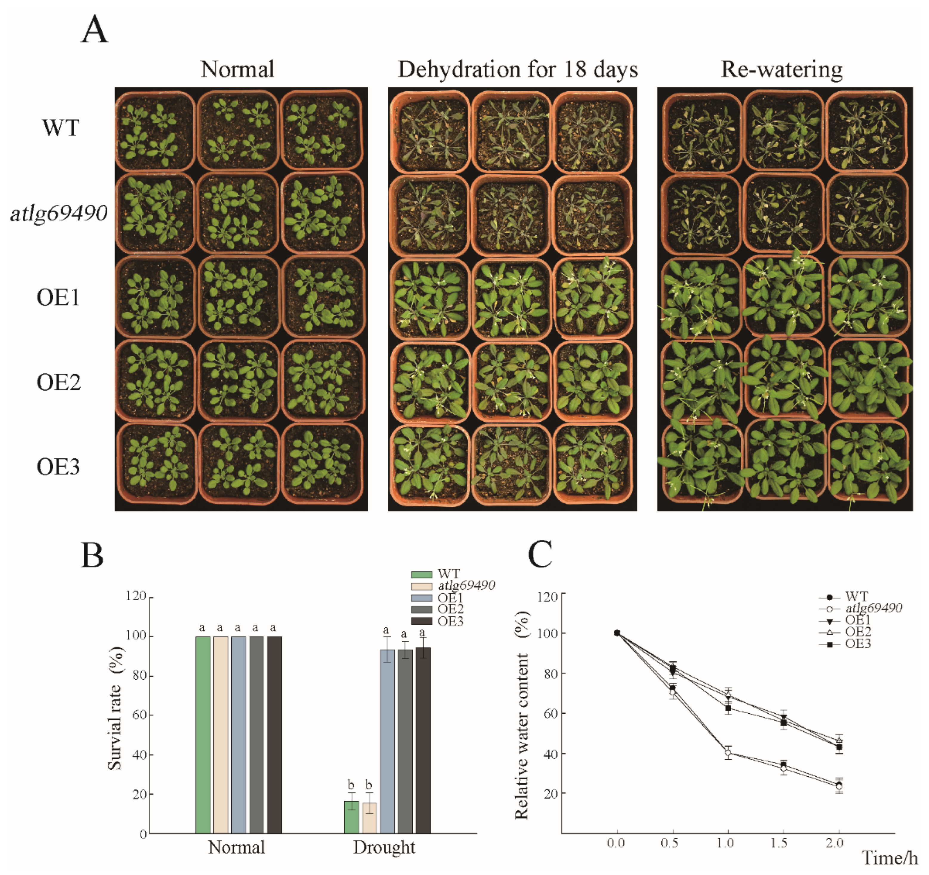 Forests 13 01304 g004