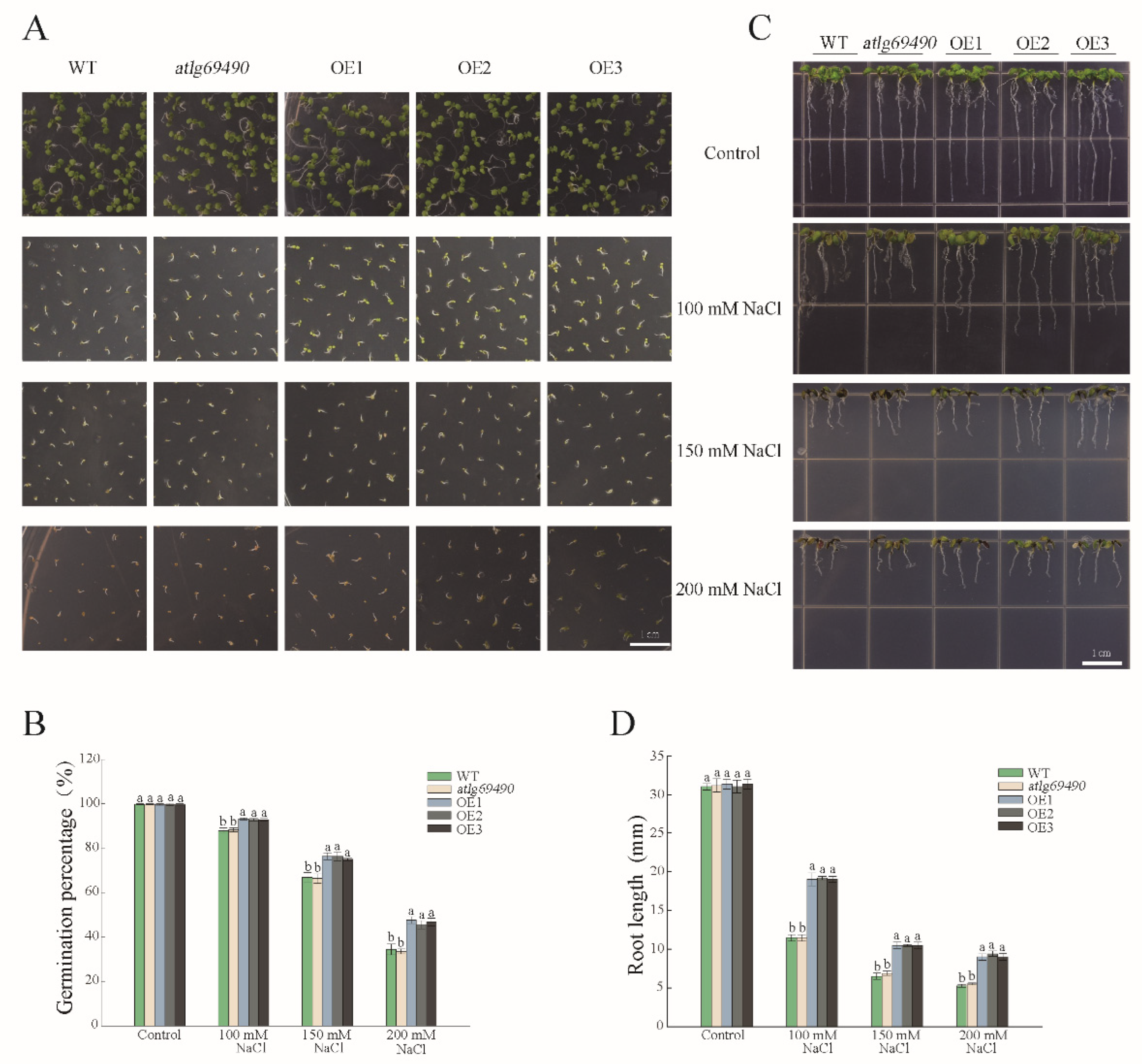 Forests 13 01304 g005