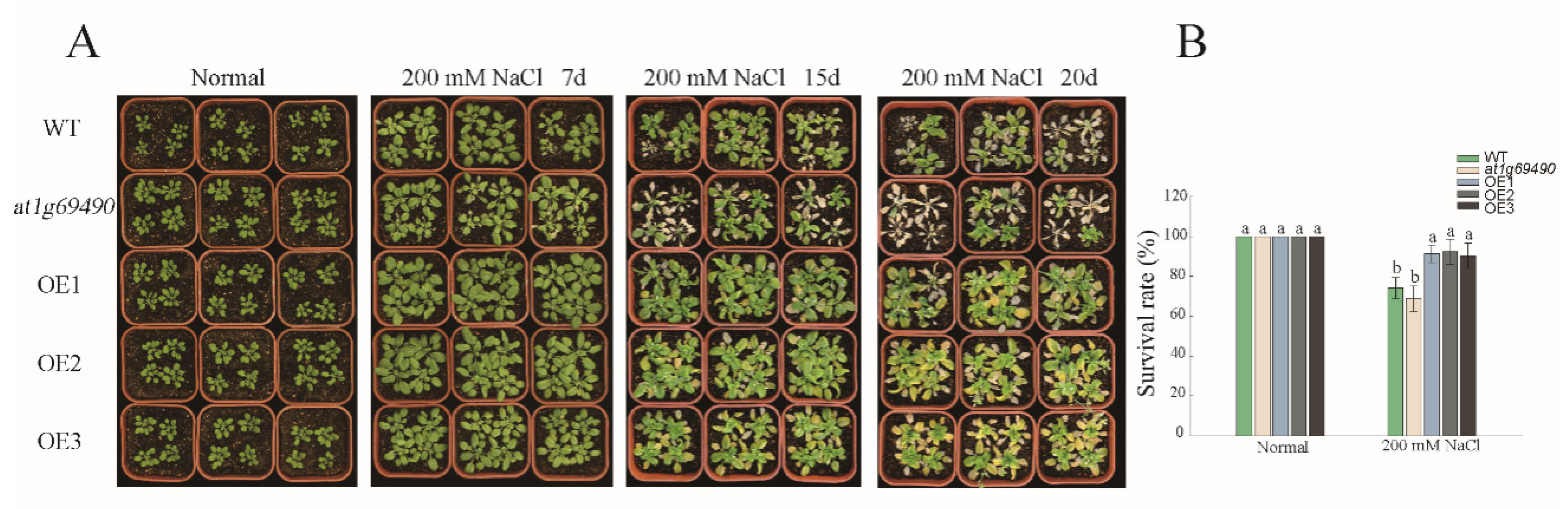 Forests 13 01304 g006