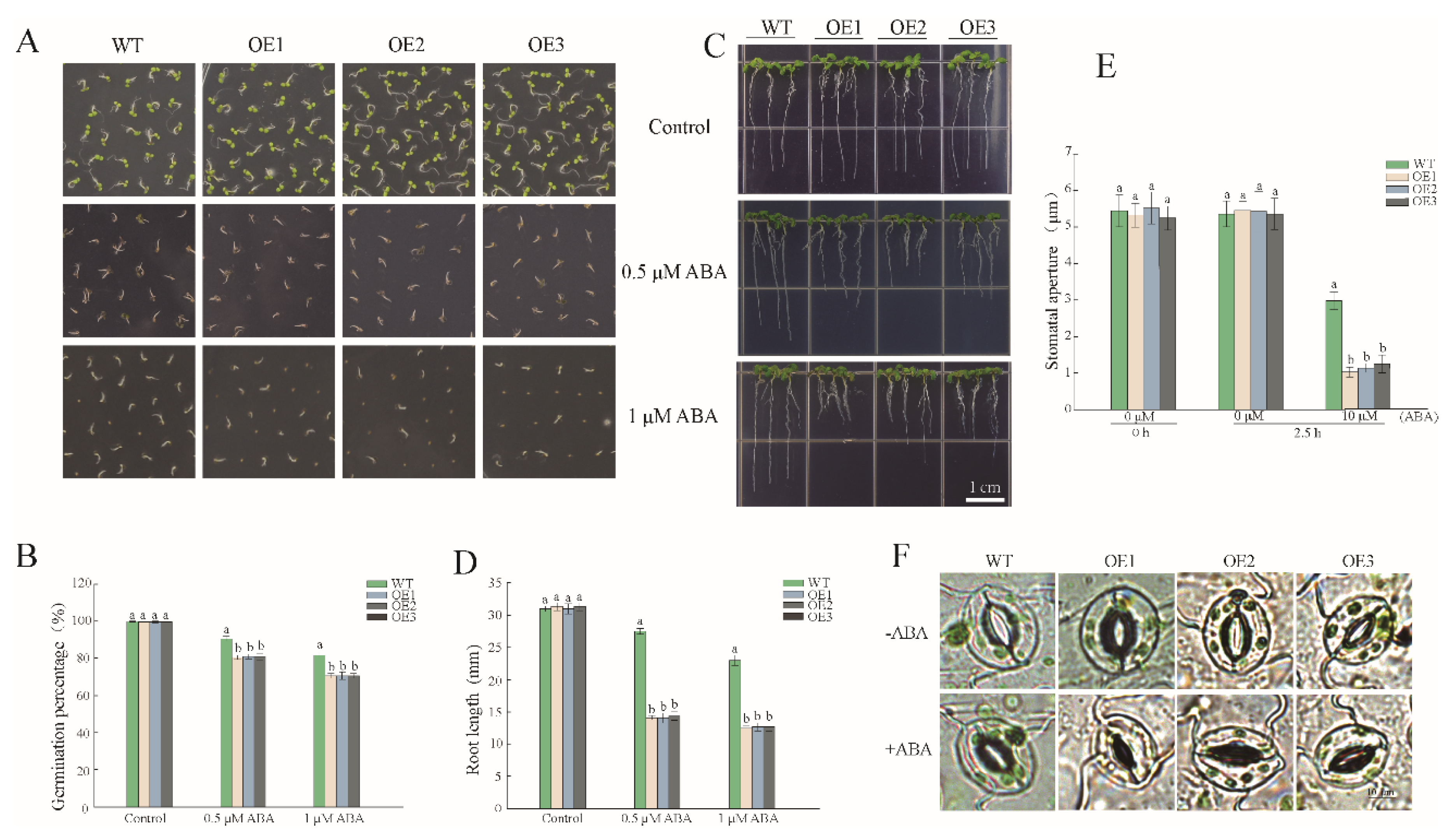 Forests 13 01304 g007