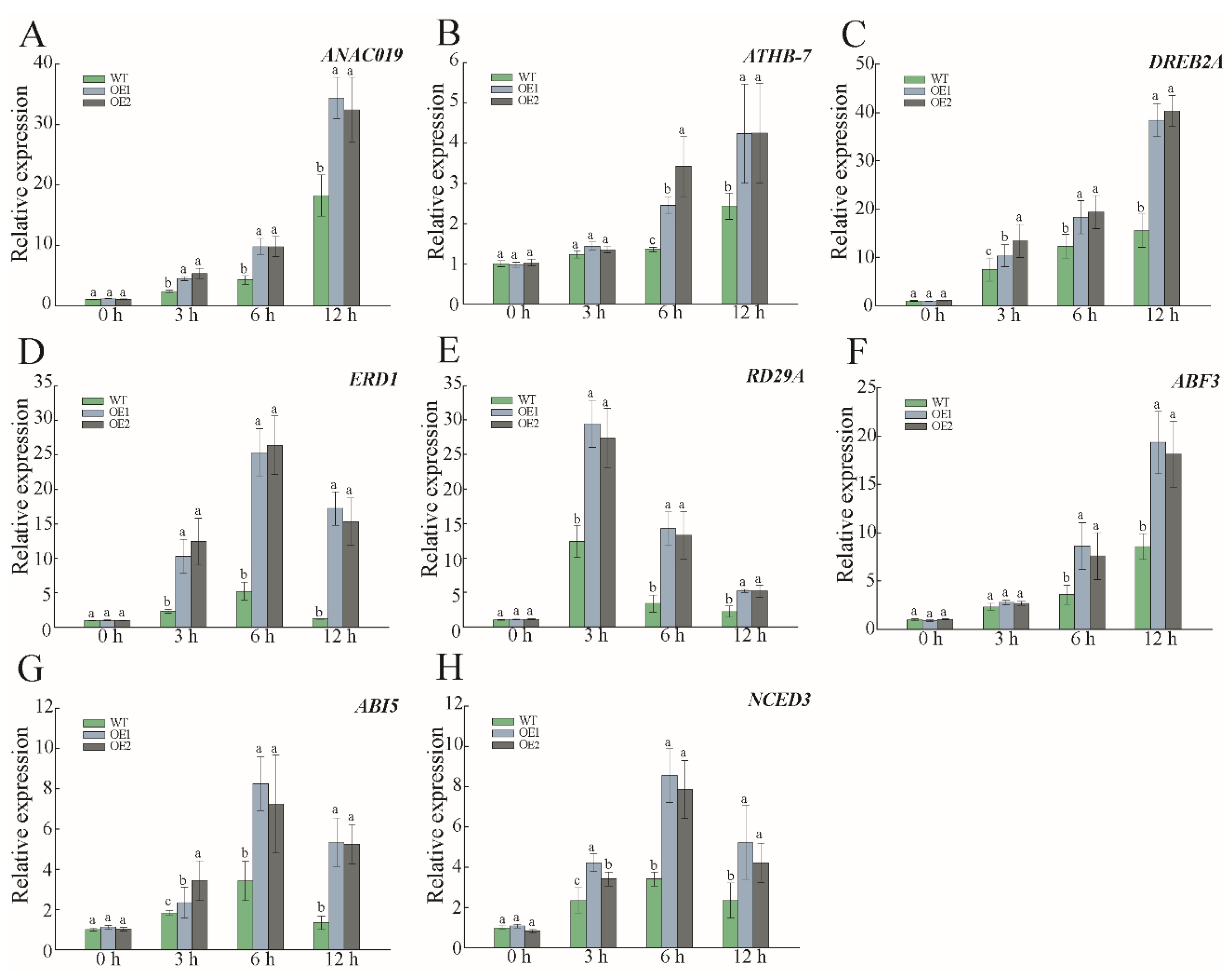 Forests 13 01304 g011