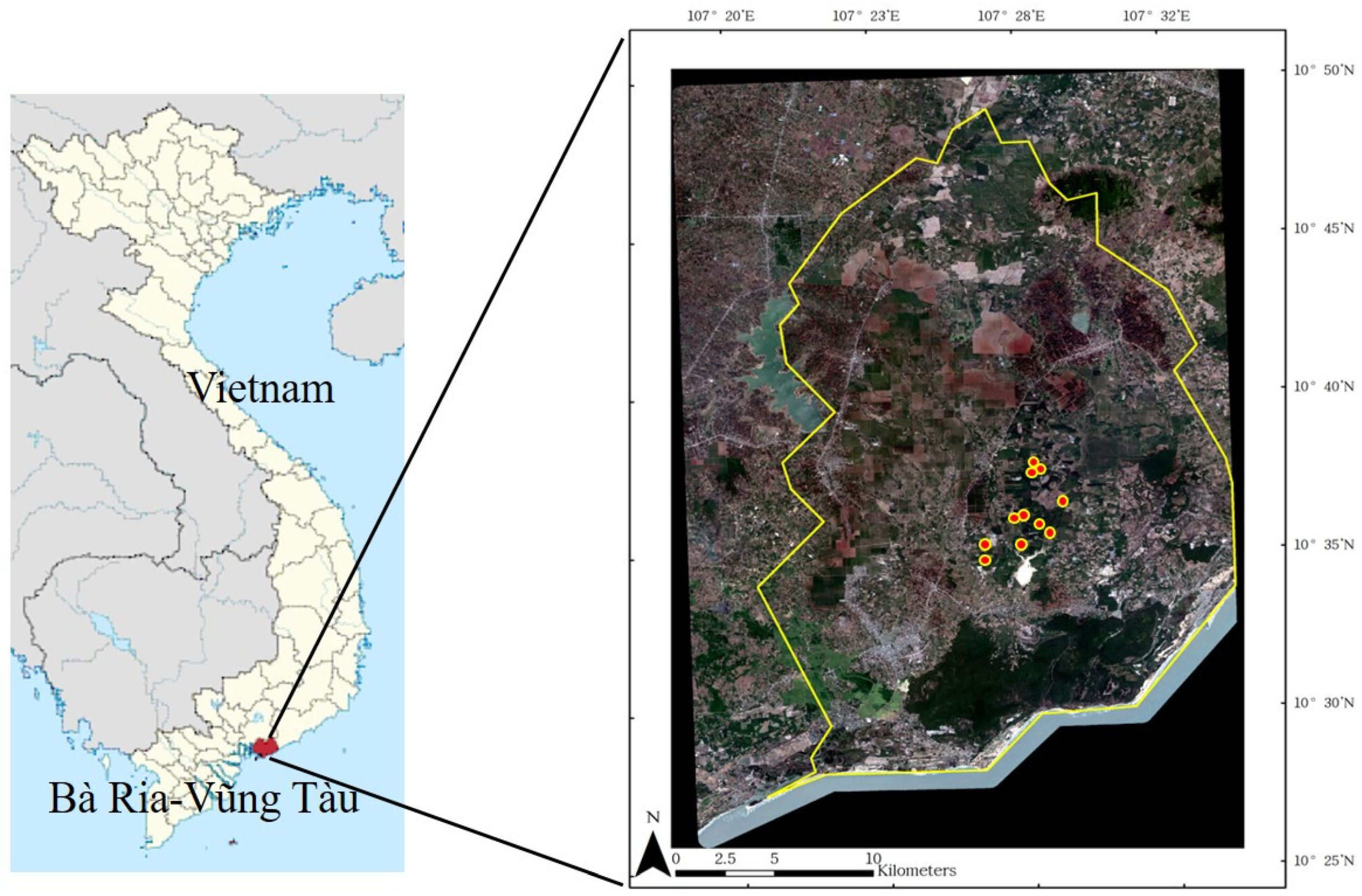 Forests 13 01316 g001
