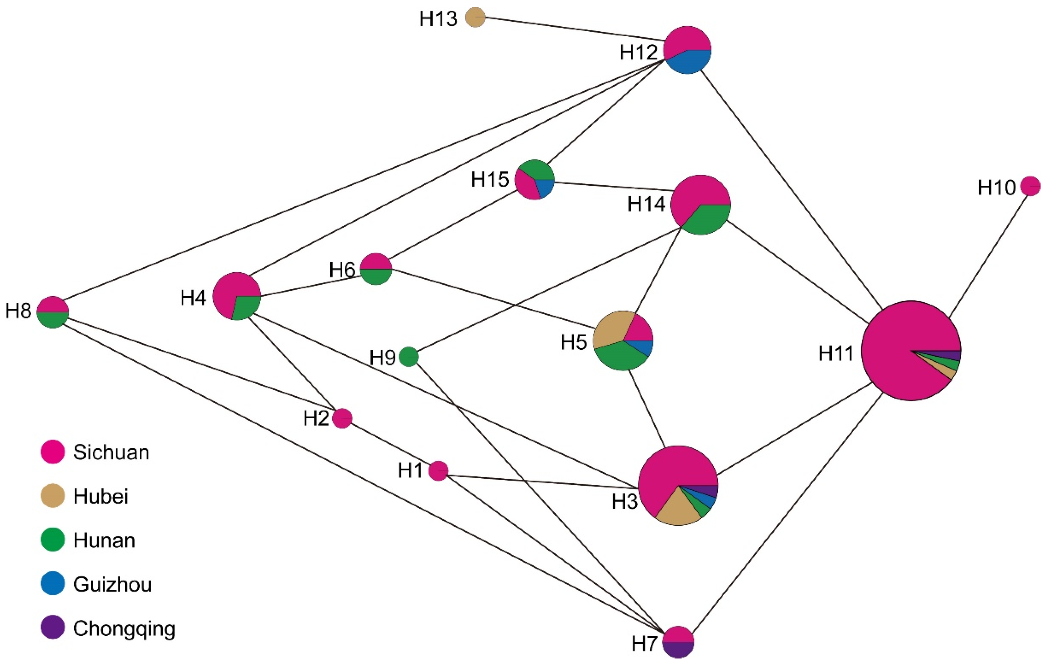 Forests 13 01320 g002 550