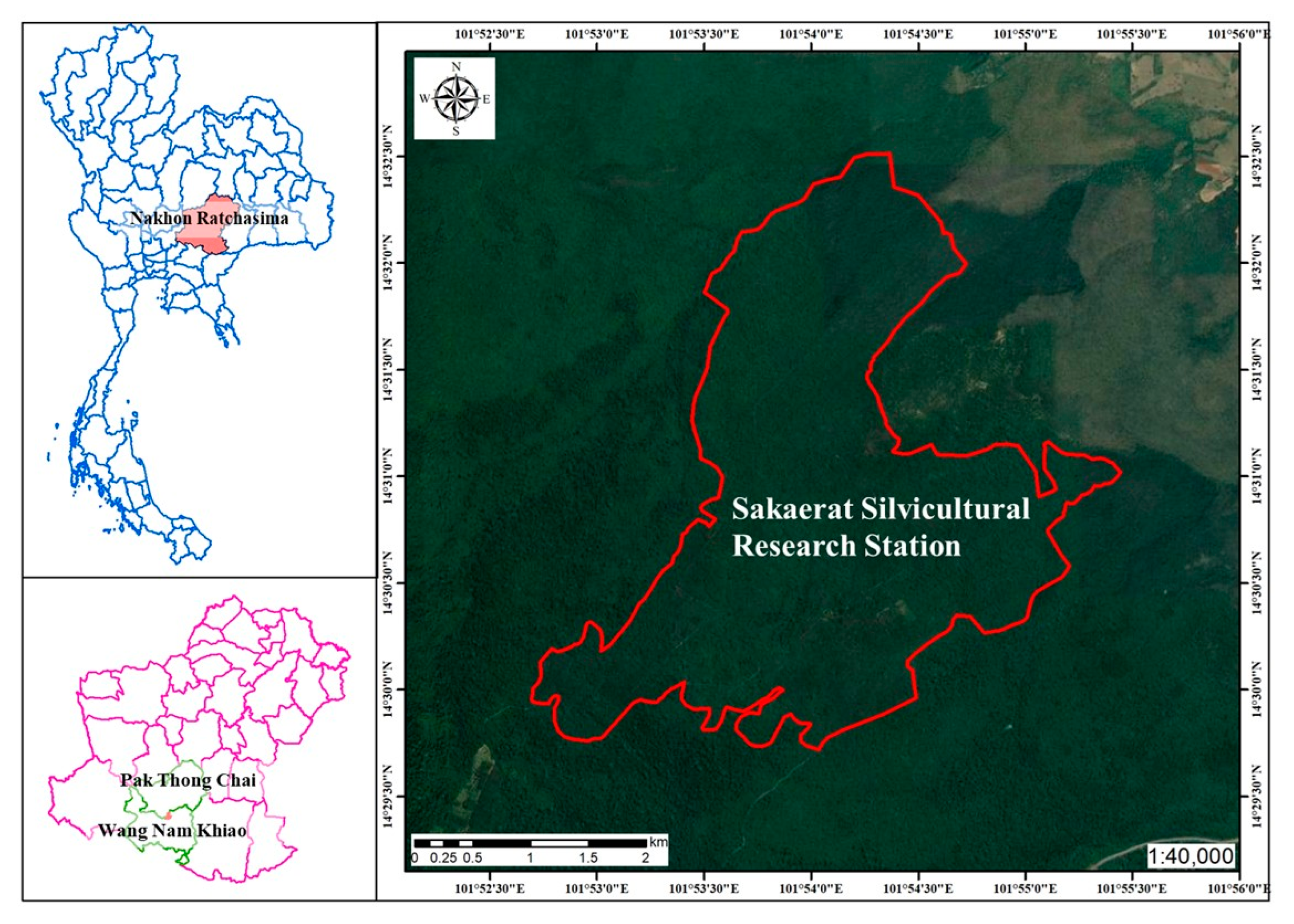 Forests 13 01321 g001 Forests 13 01321 g001