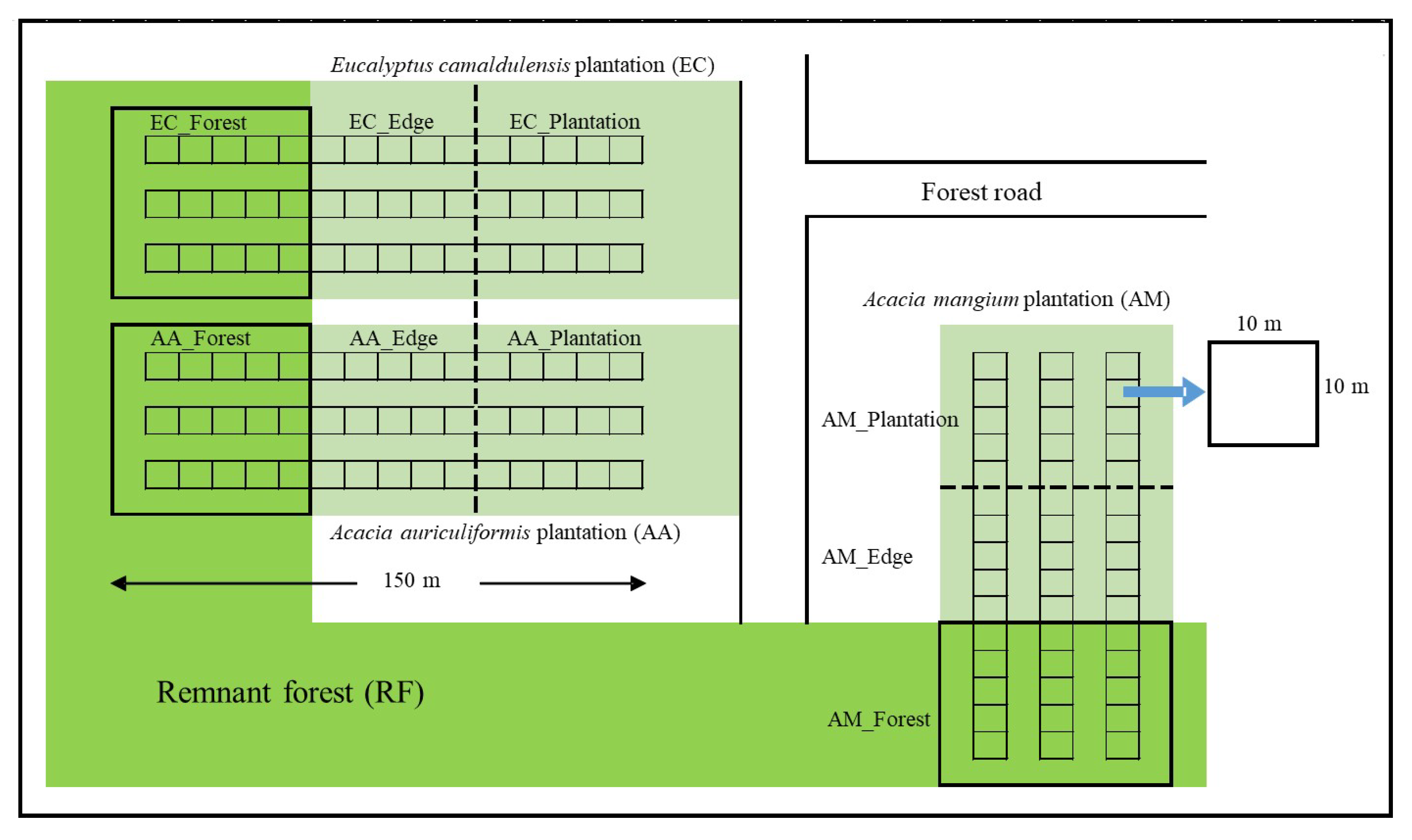 Forests 13 01321 g002 Forests 13 01321 g002