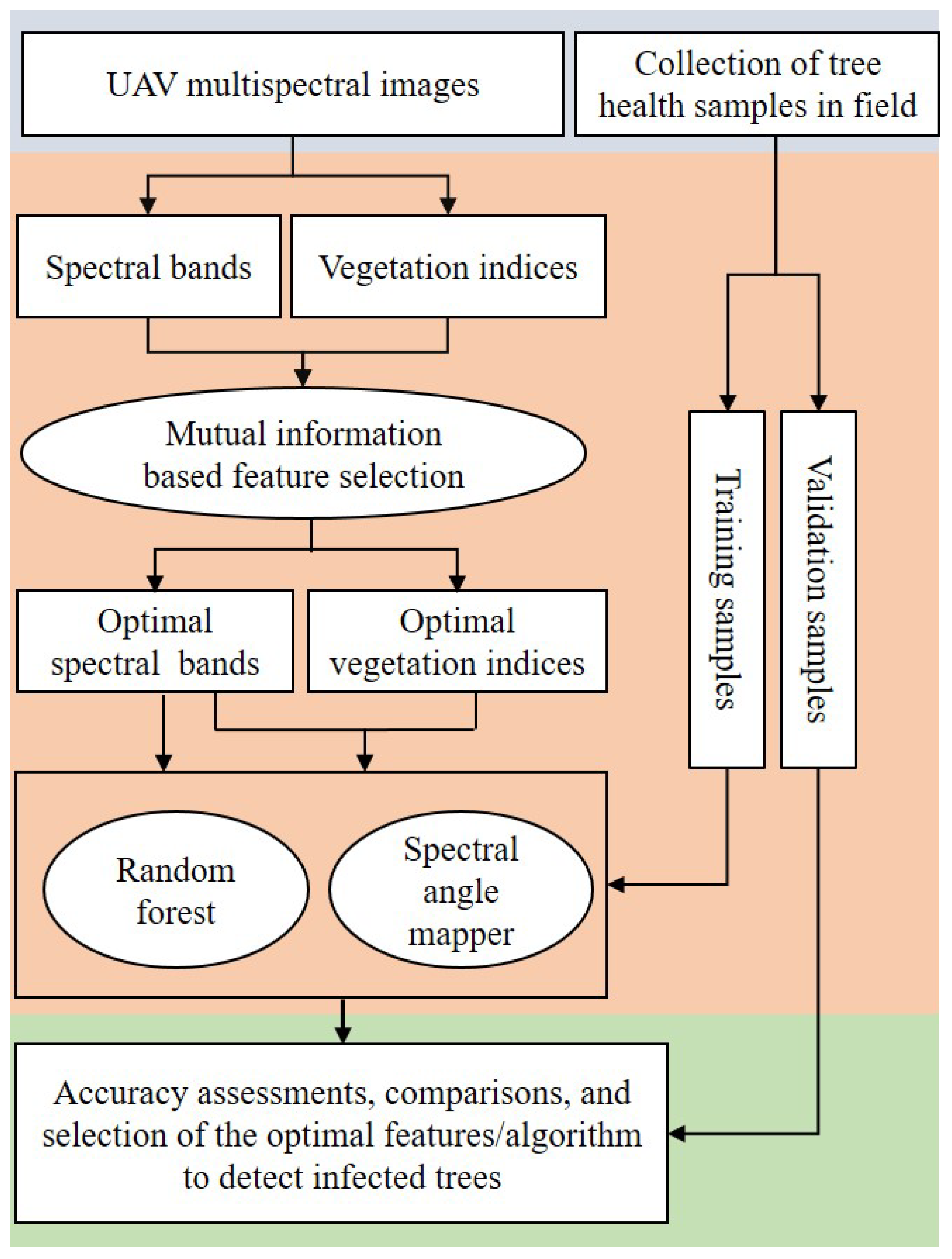 Forests 13 01322 g002