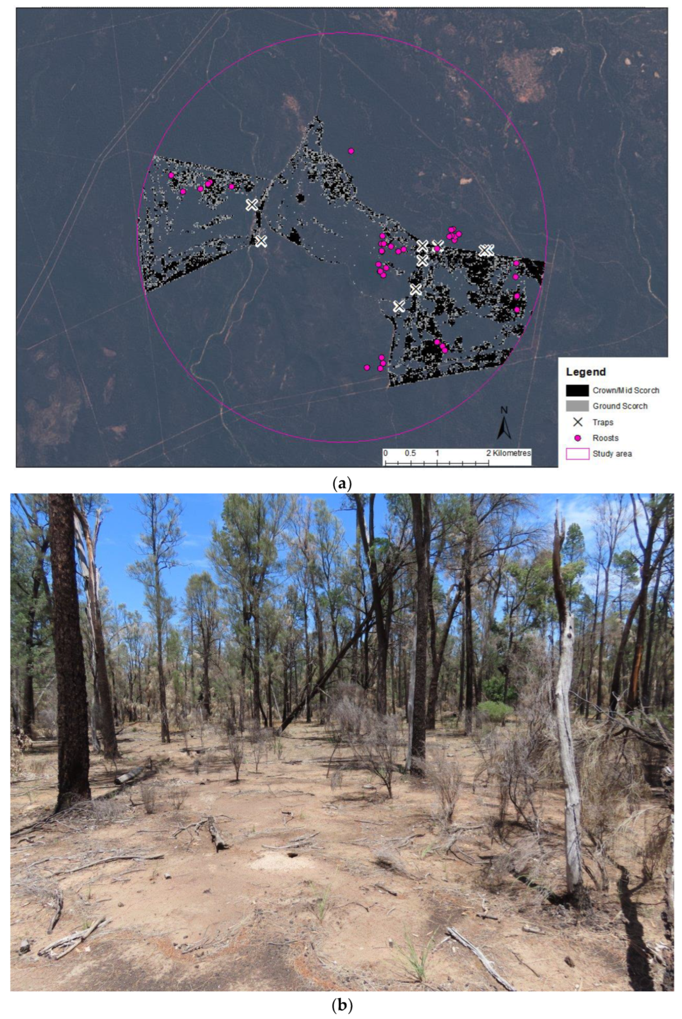 Forests 13 01327 g001a
