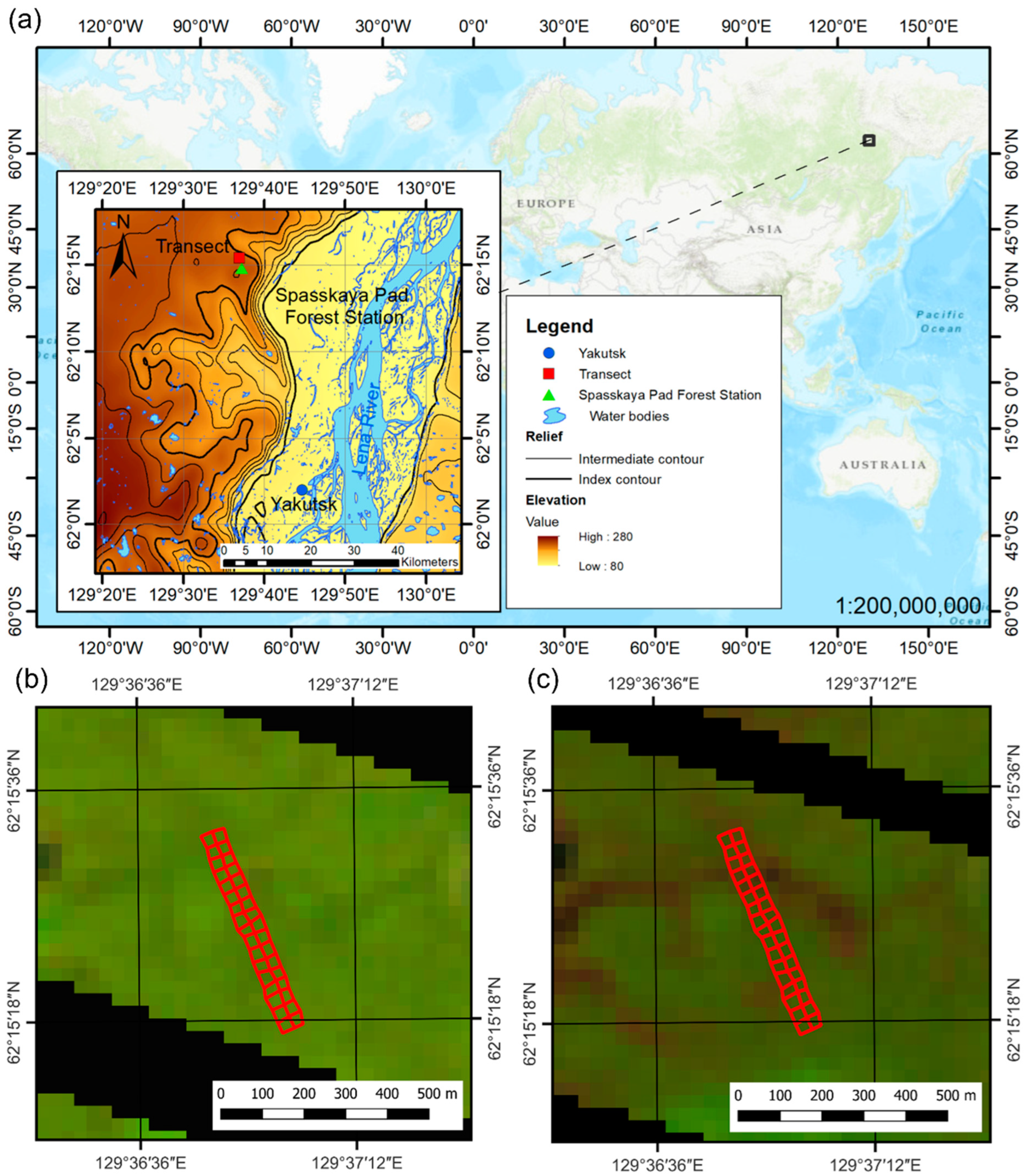 Forests 13 01331 g001 550