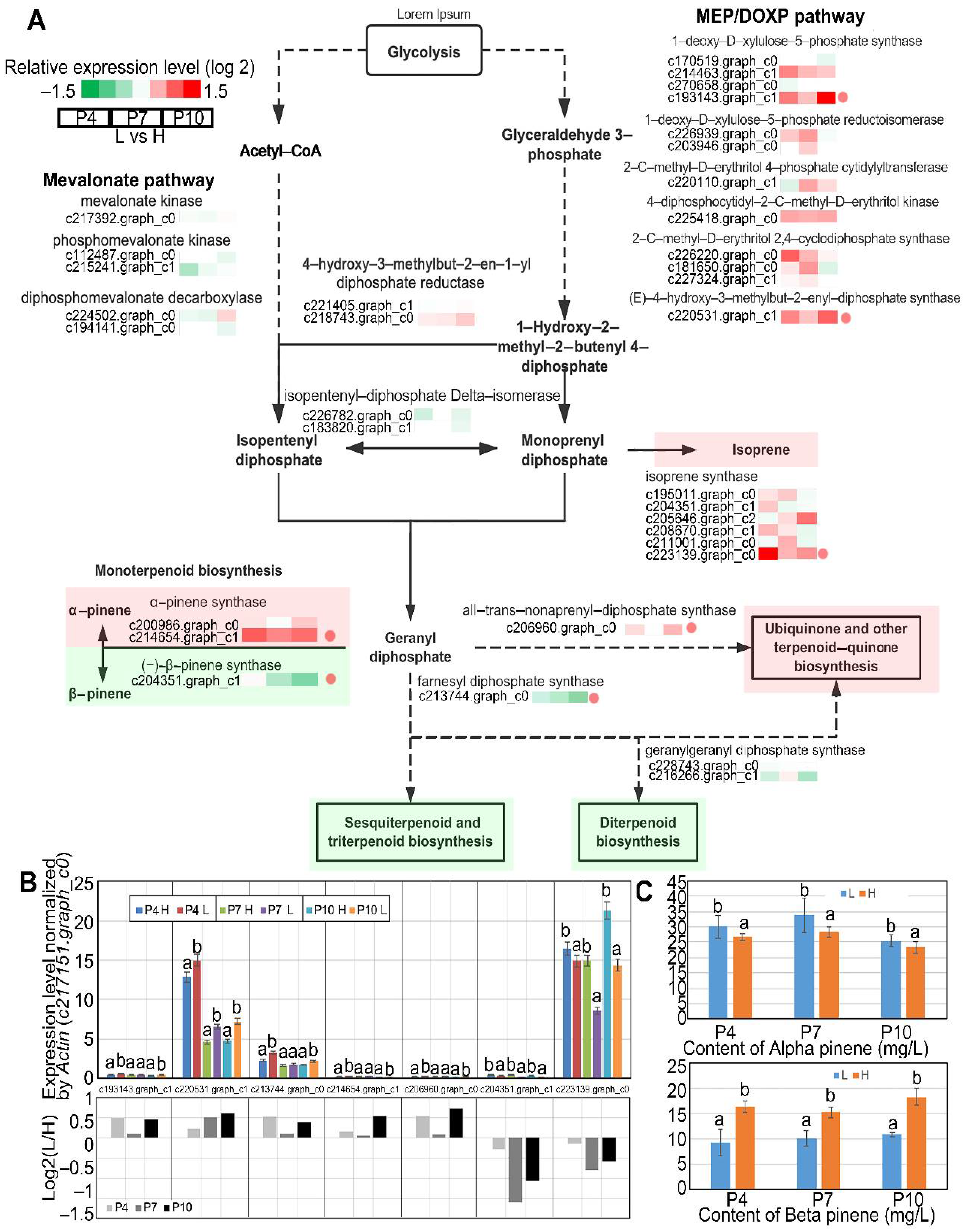 Forests 13 01337 g002 Forests 13 01337 g002
