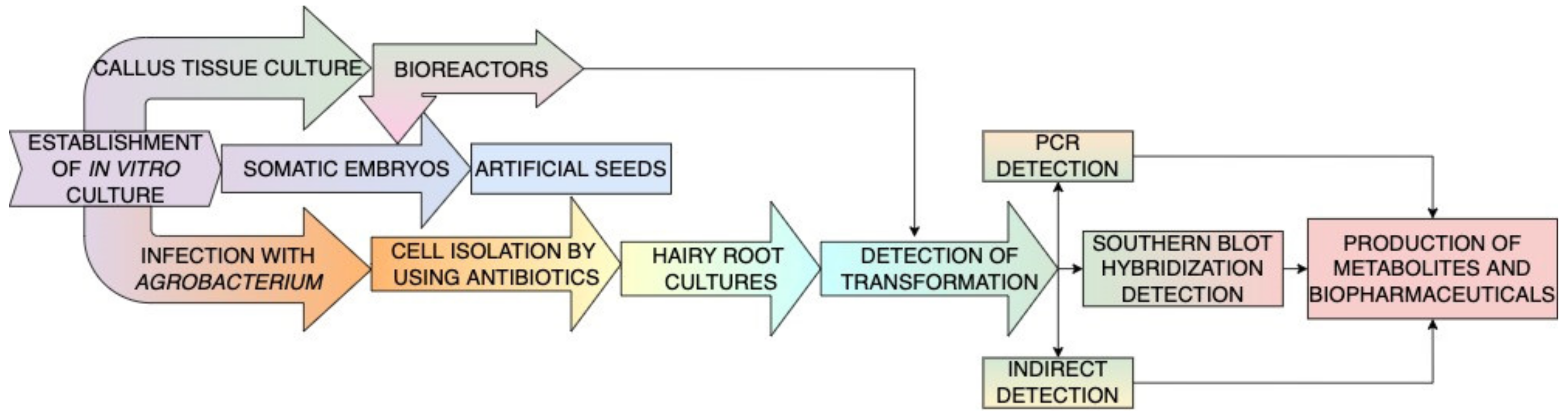 Forests 13 01338 g003 Forests 13 01338 g003