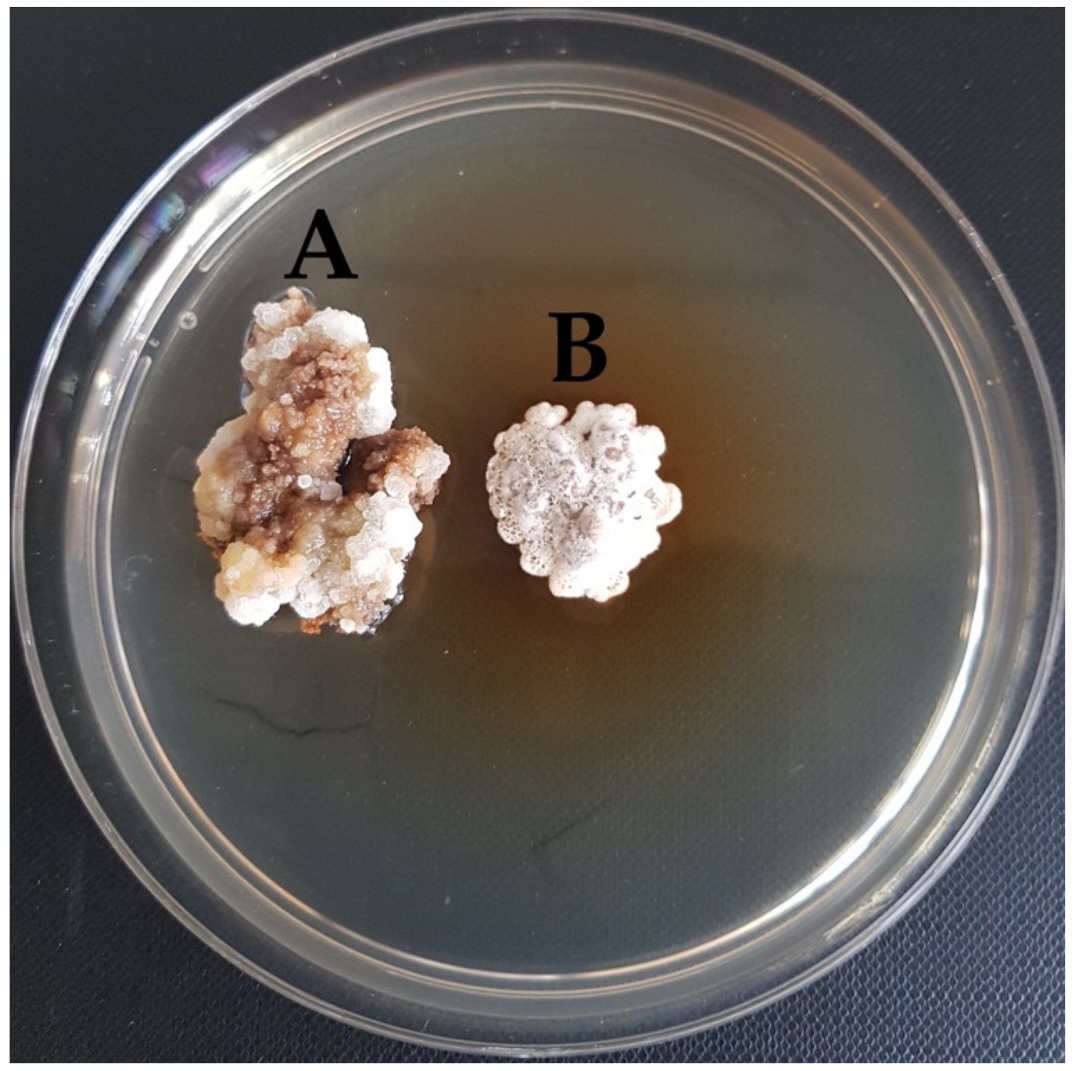 Forests 13 01338 g006 Forests 13 01338 g006