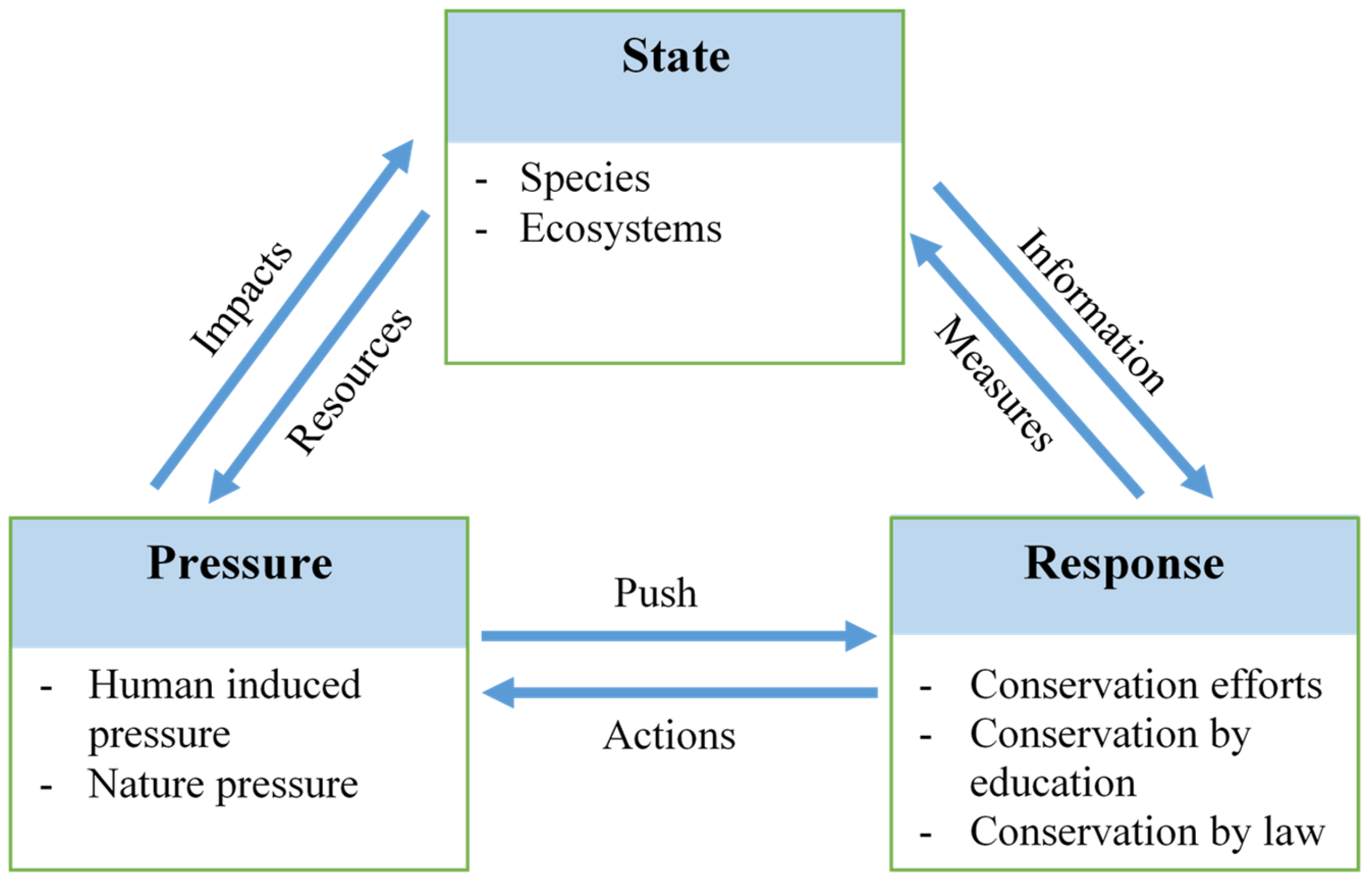 Forests 13 01341 g001 Forests 13 01341 g001