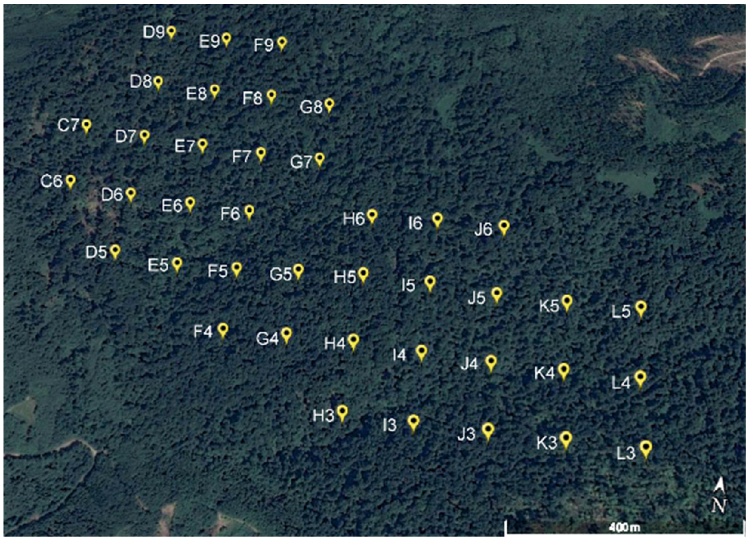 Forests 13 01344 g001 Forests 13 01344 g001
