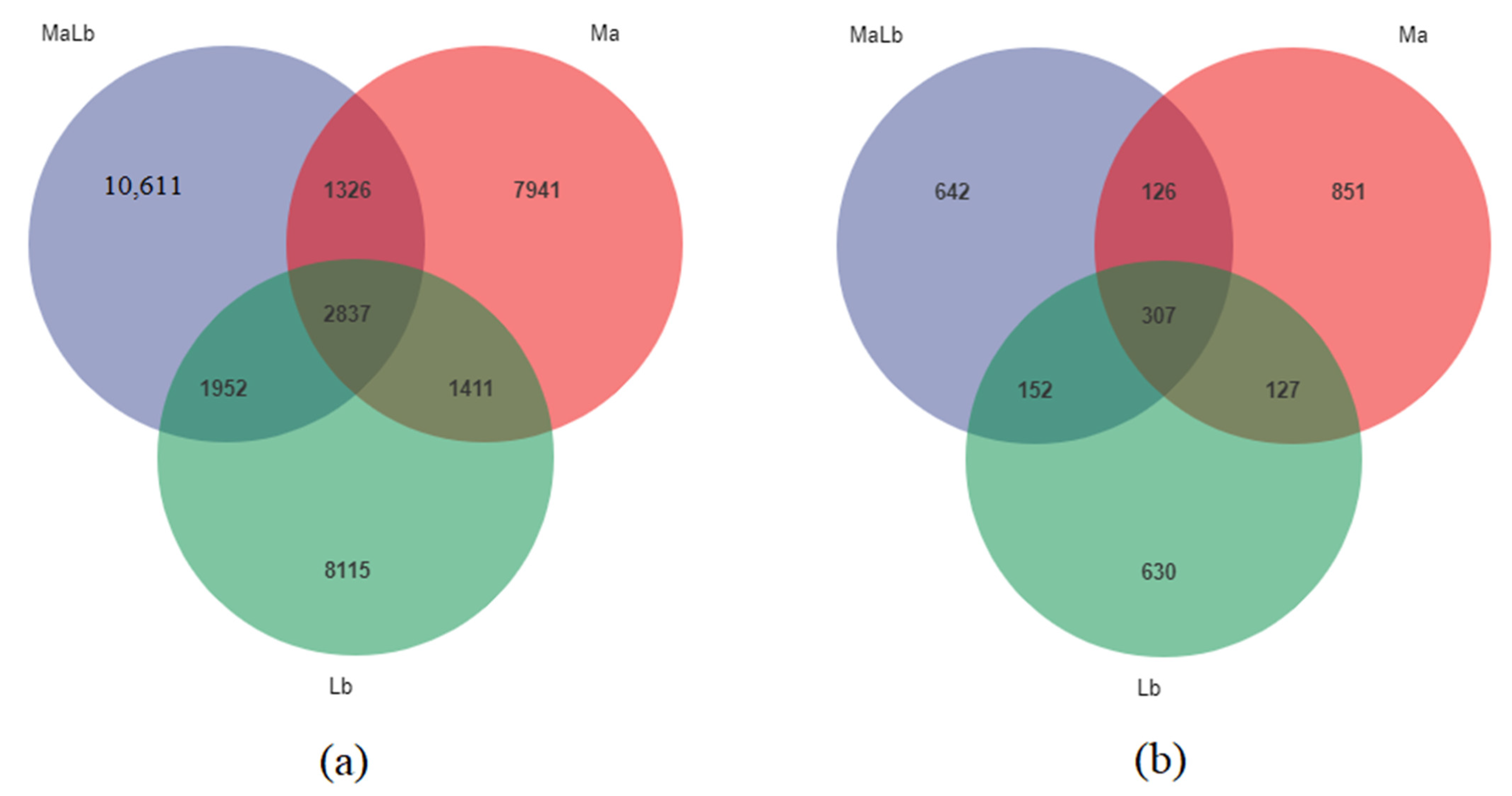 Forests 13 01345 g002